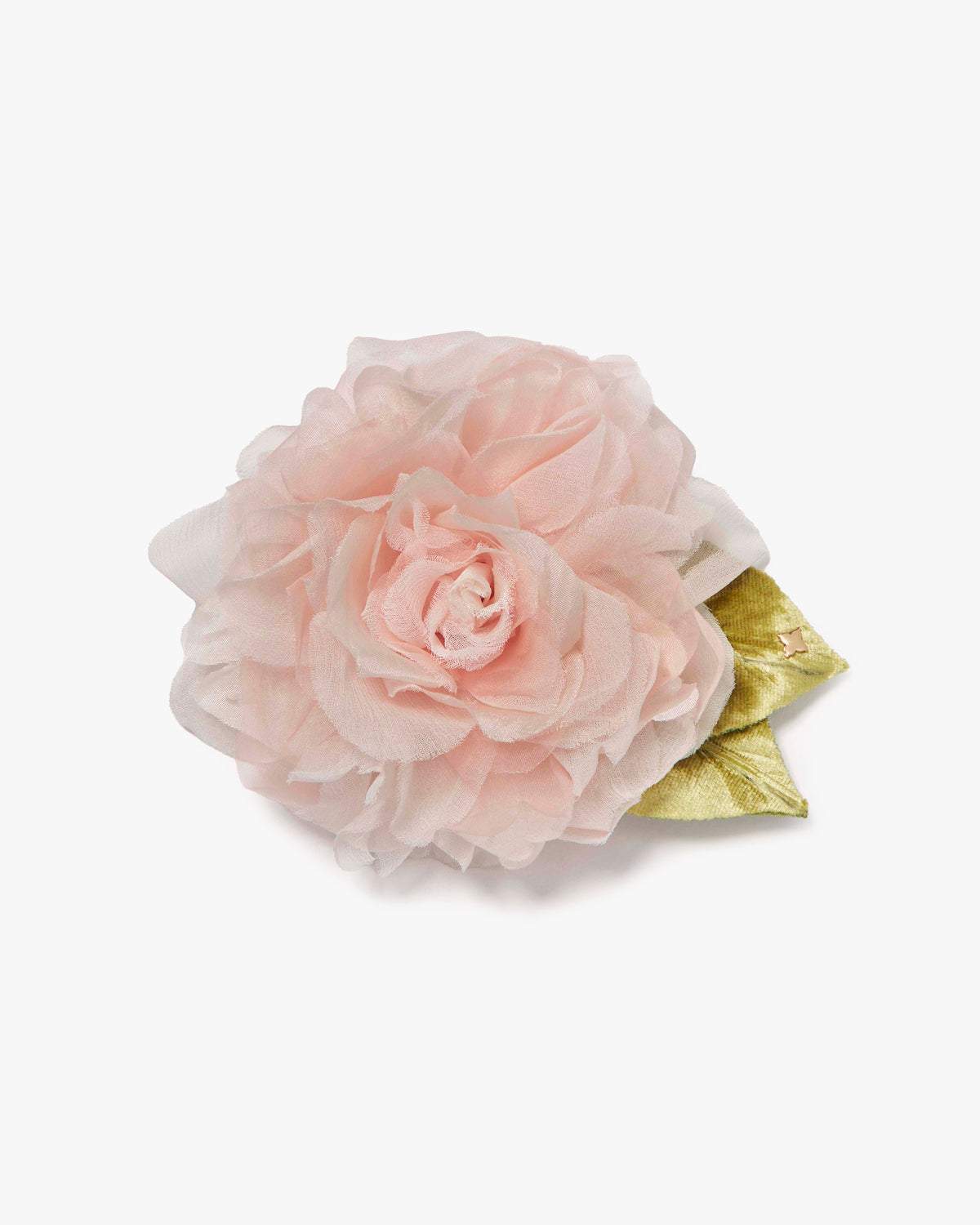 Large Pale Pink Rose