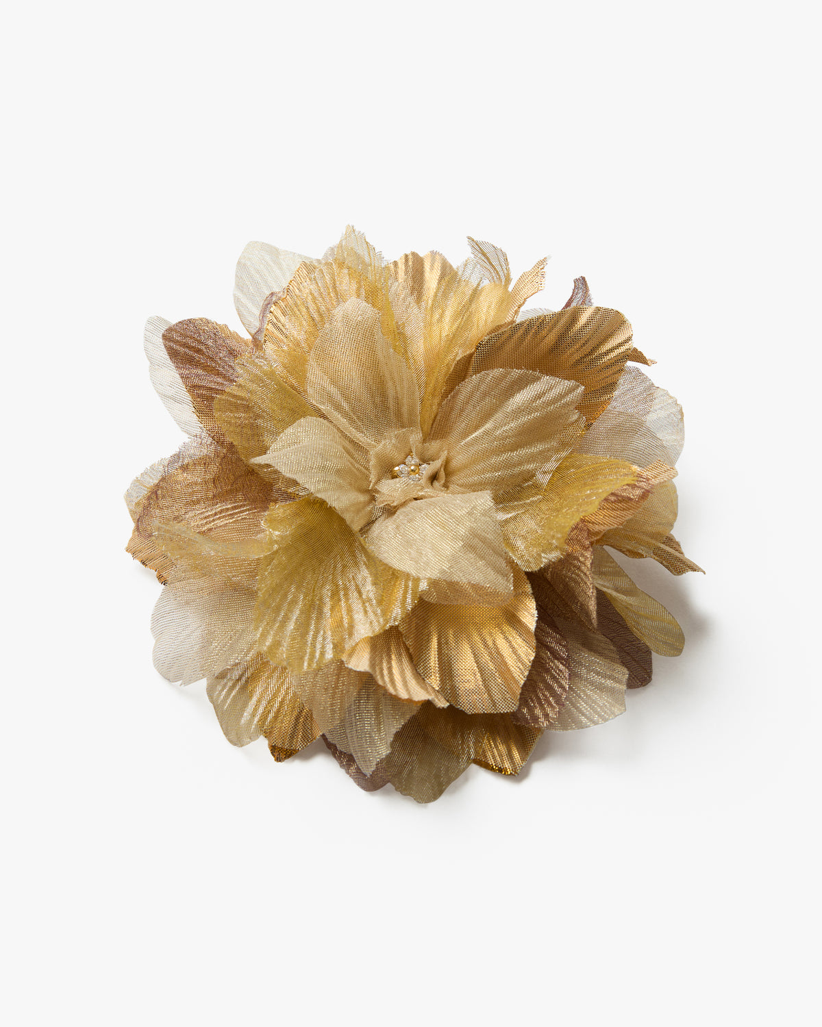 The Golden Poinsettia