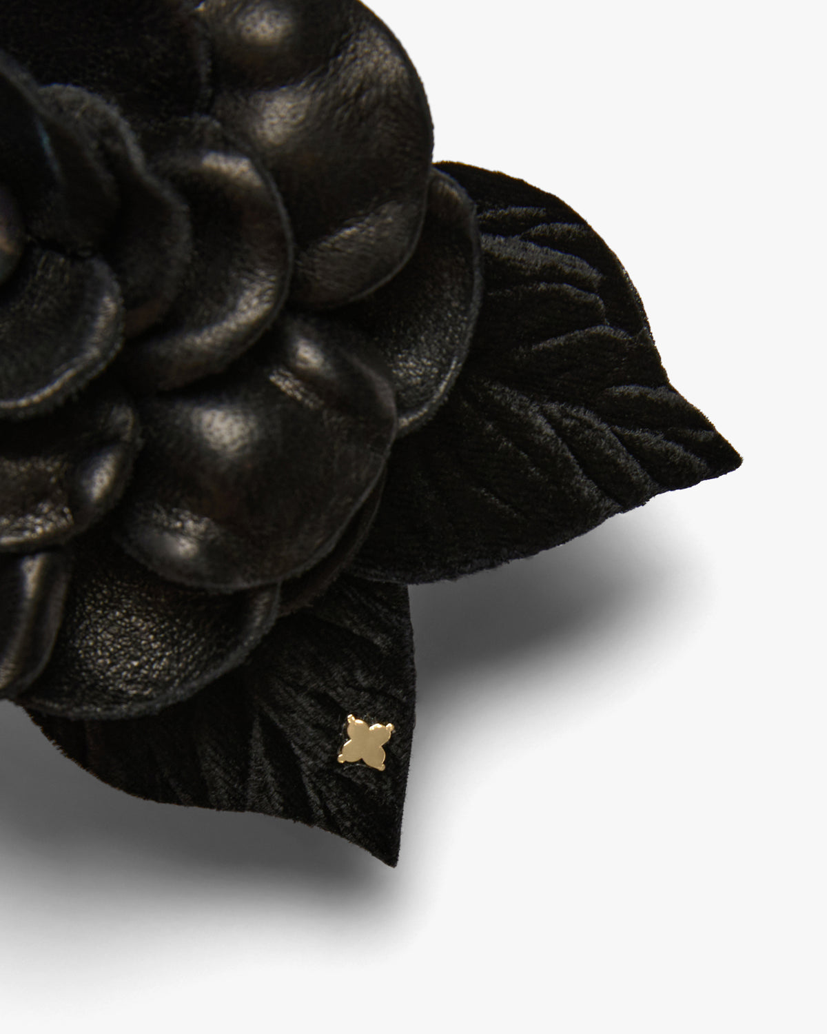 Small Black Gardenia