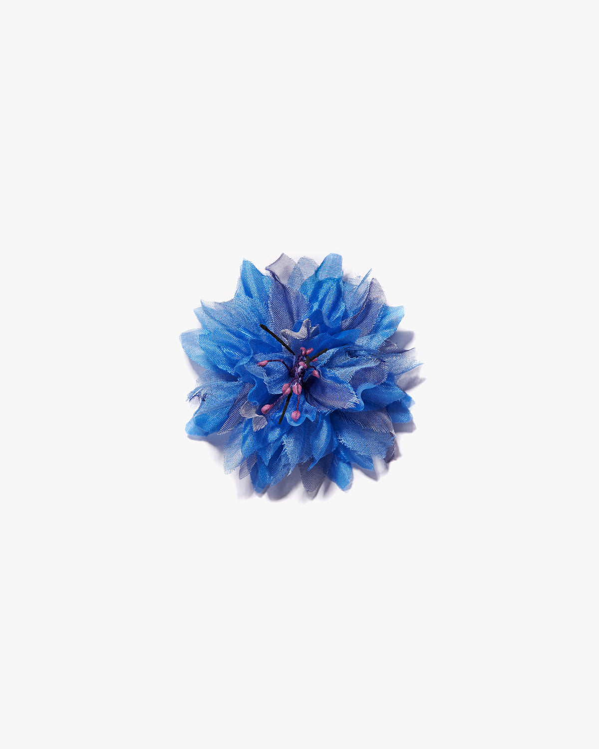 The Blue Cornflower