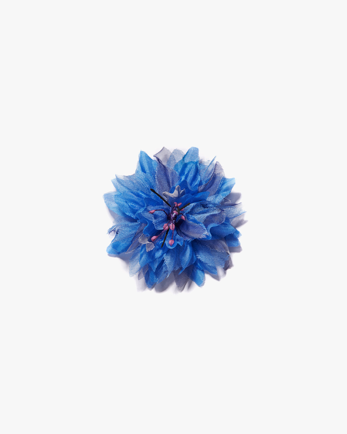 The Blue Cornflower