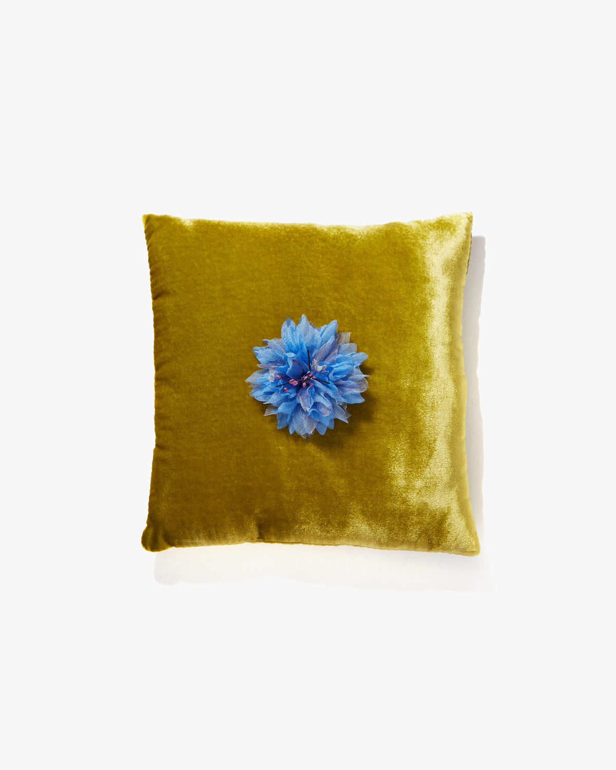 The Blue Cornflower
