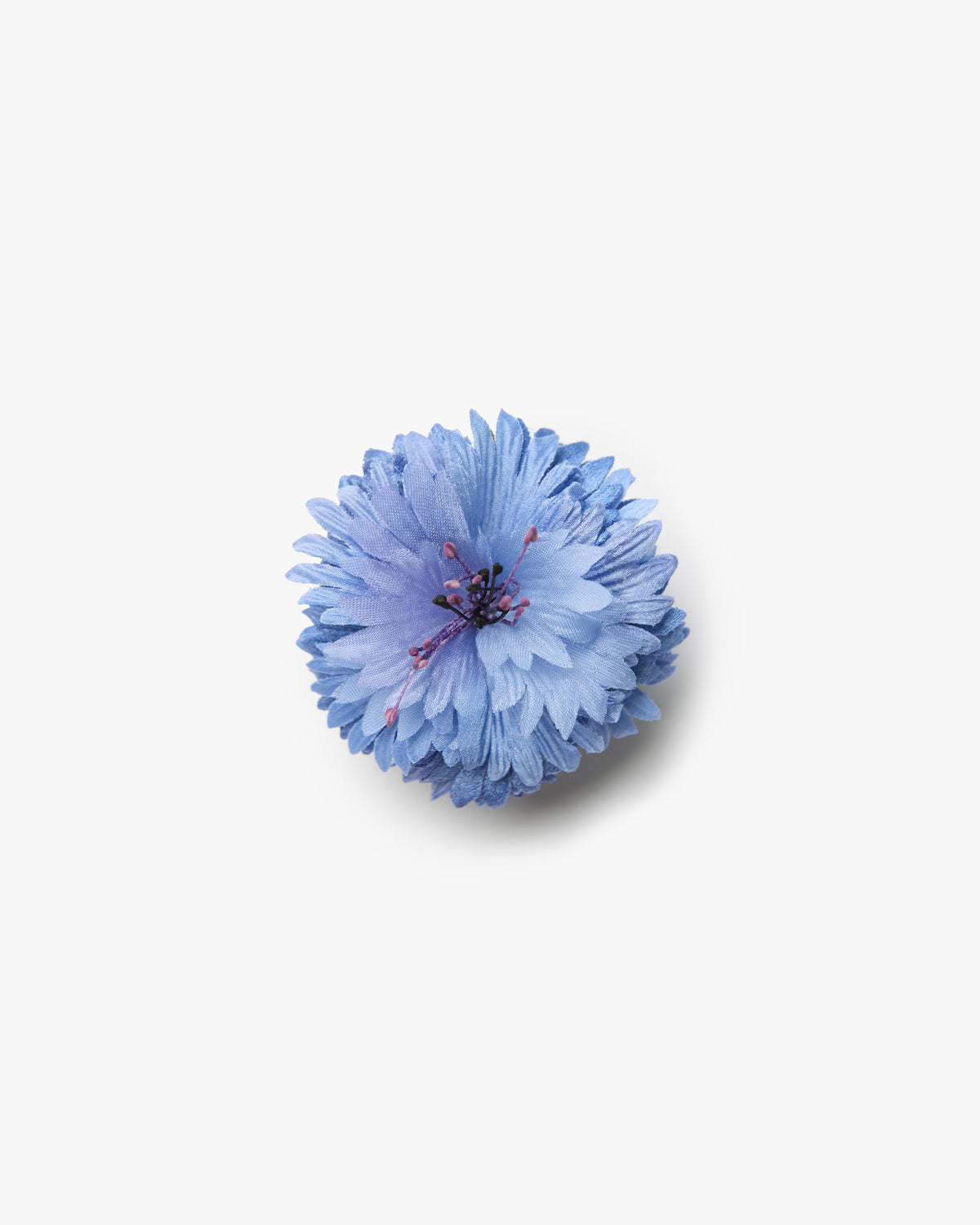 The Blue Cornflower