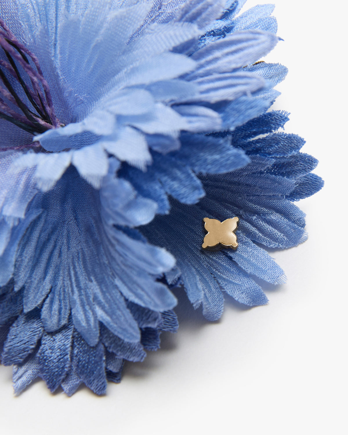 The Blue Cornflower