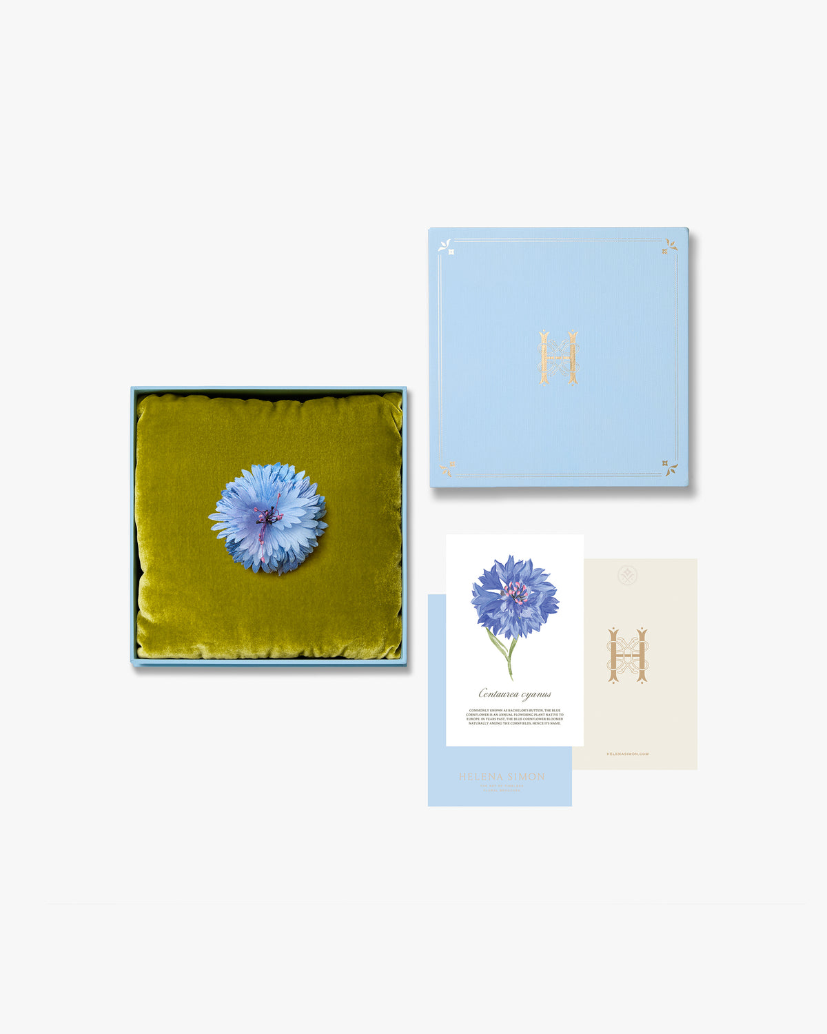 The Blue Cornflower