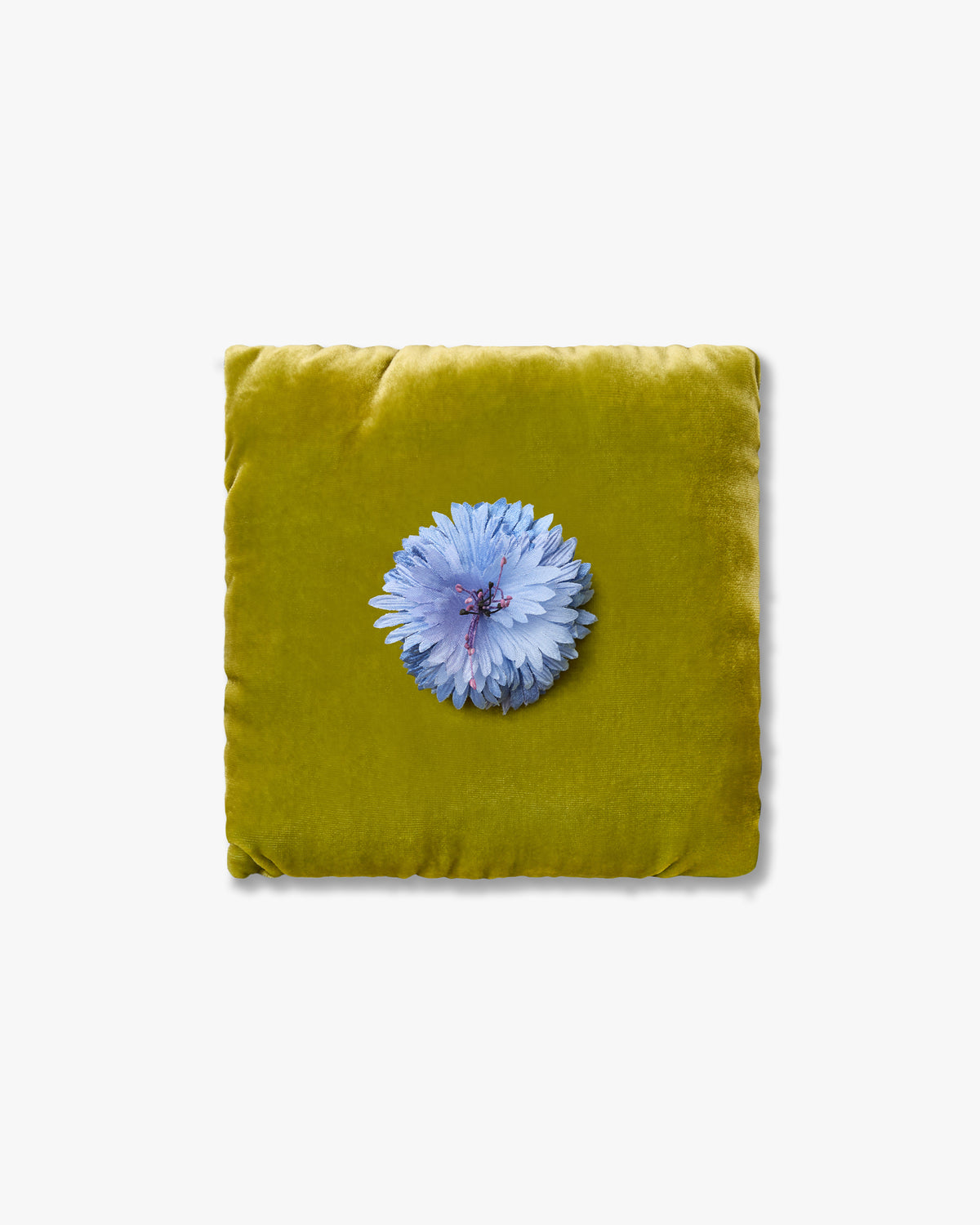 The Blue Cornflower