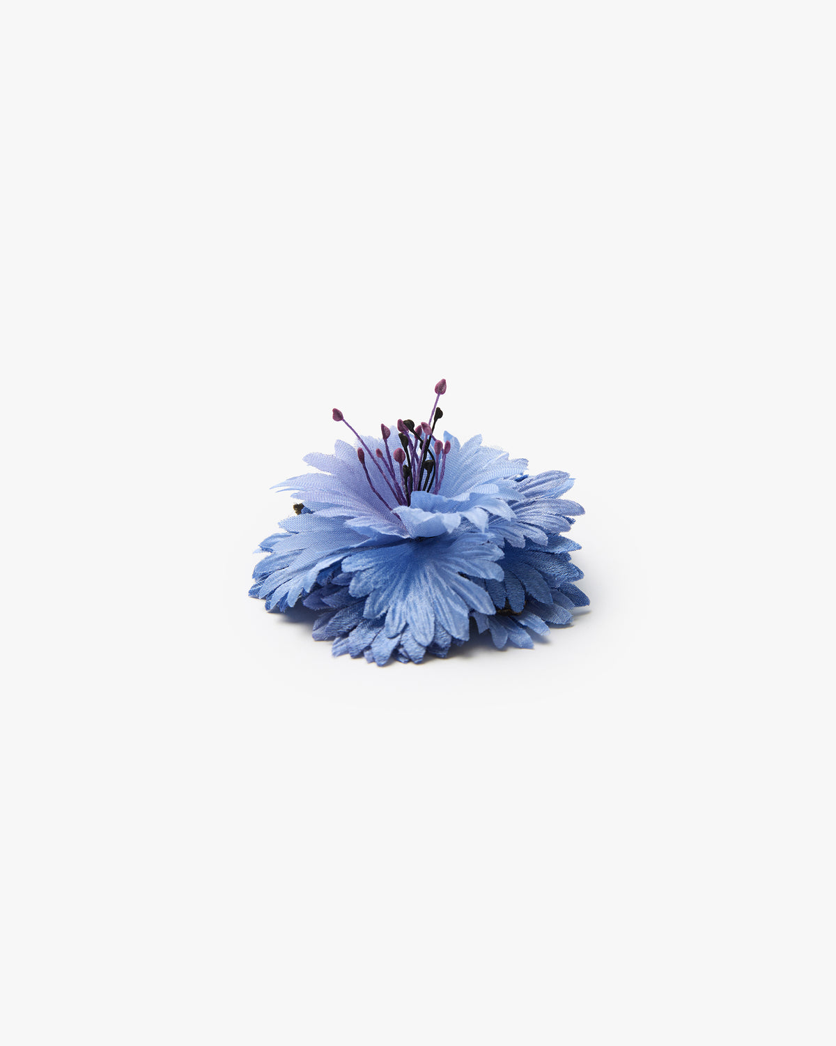 The Blue Cornflower