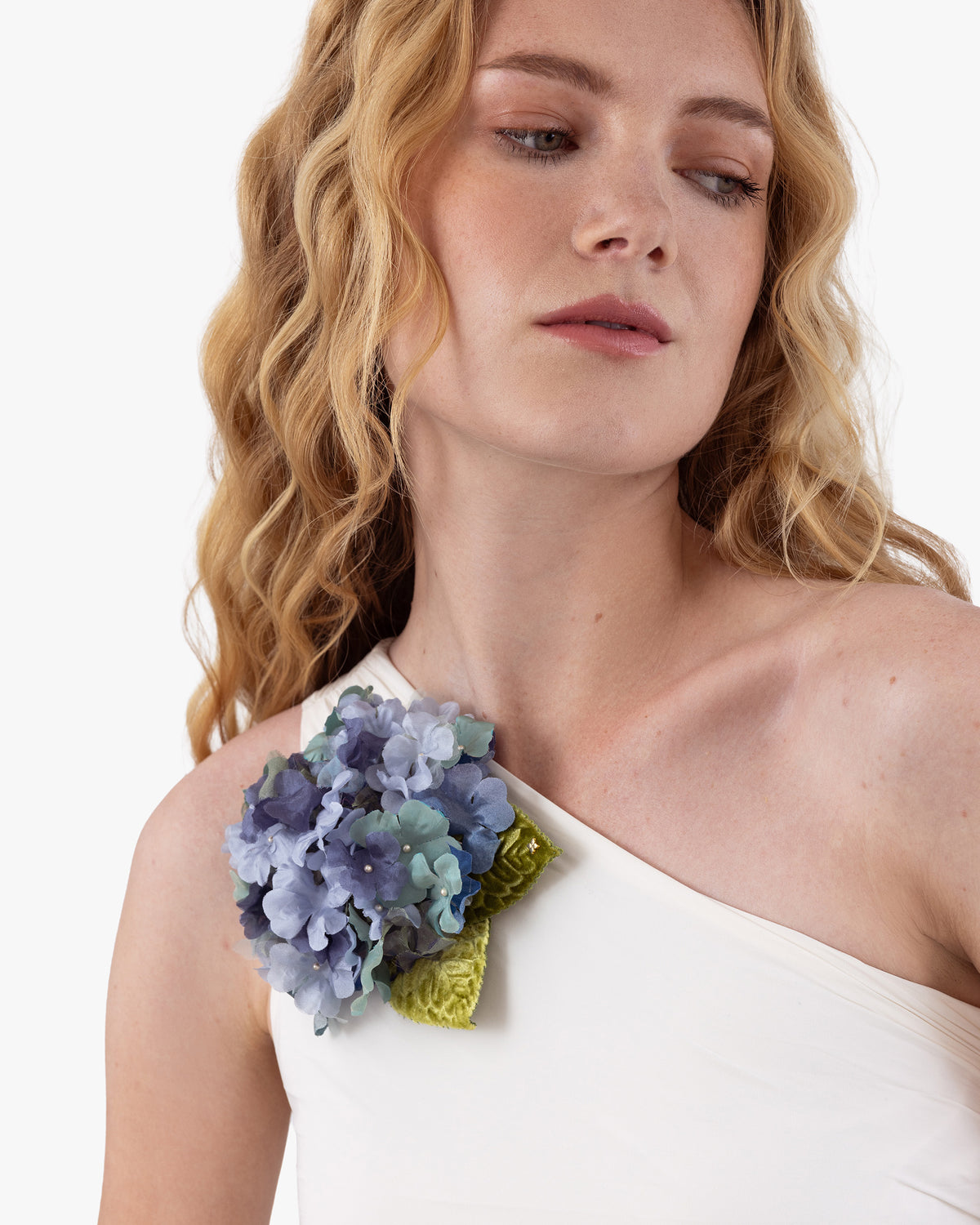 The Blue Hydrangea