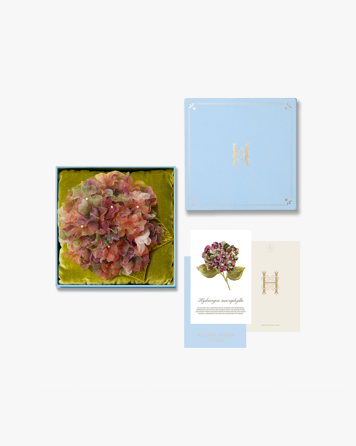 The Burgundy Hydrangea