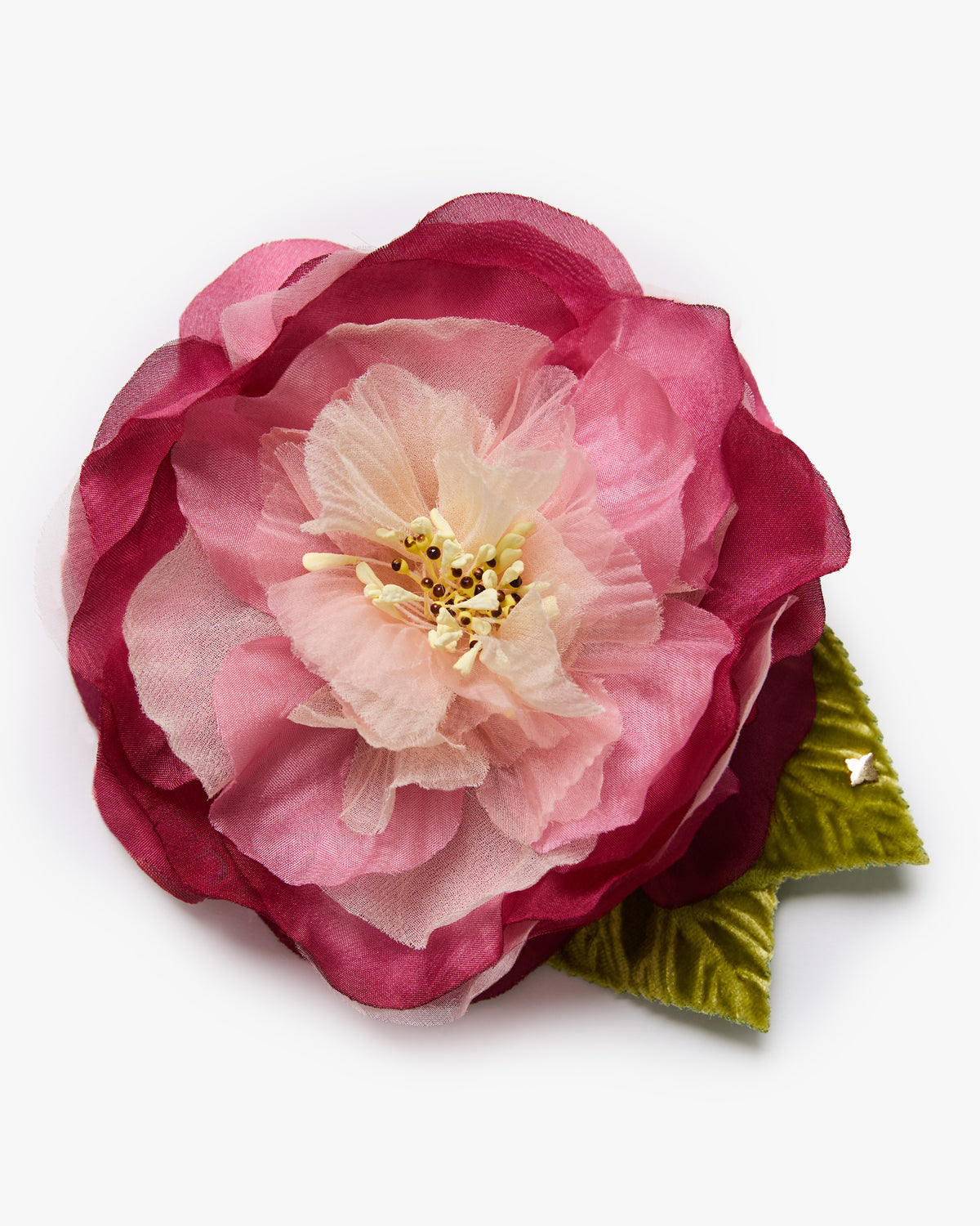 The Camellia