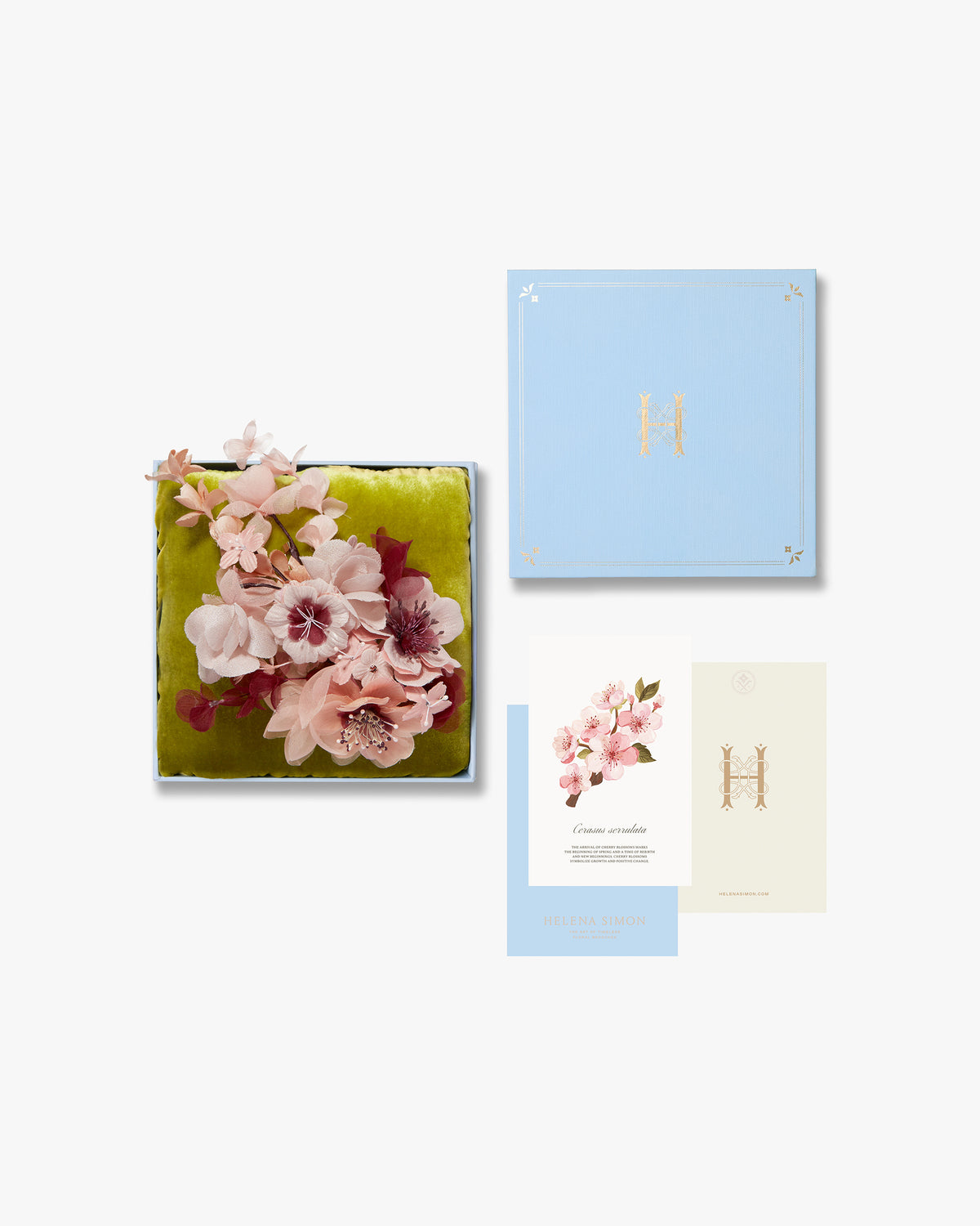 The Cherry Blossom Branch