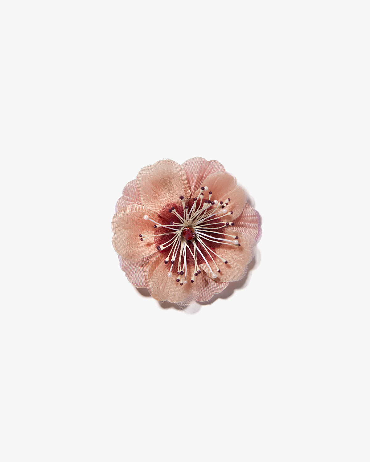 The Cherry Blossom
