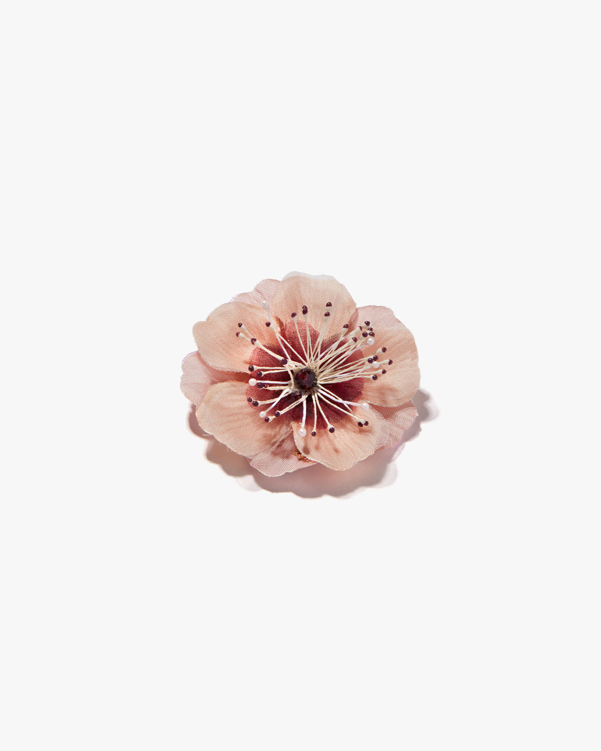 The Cherry Blossom