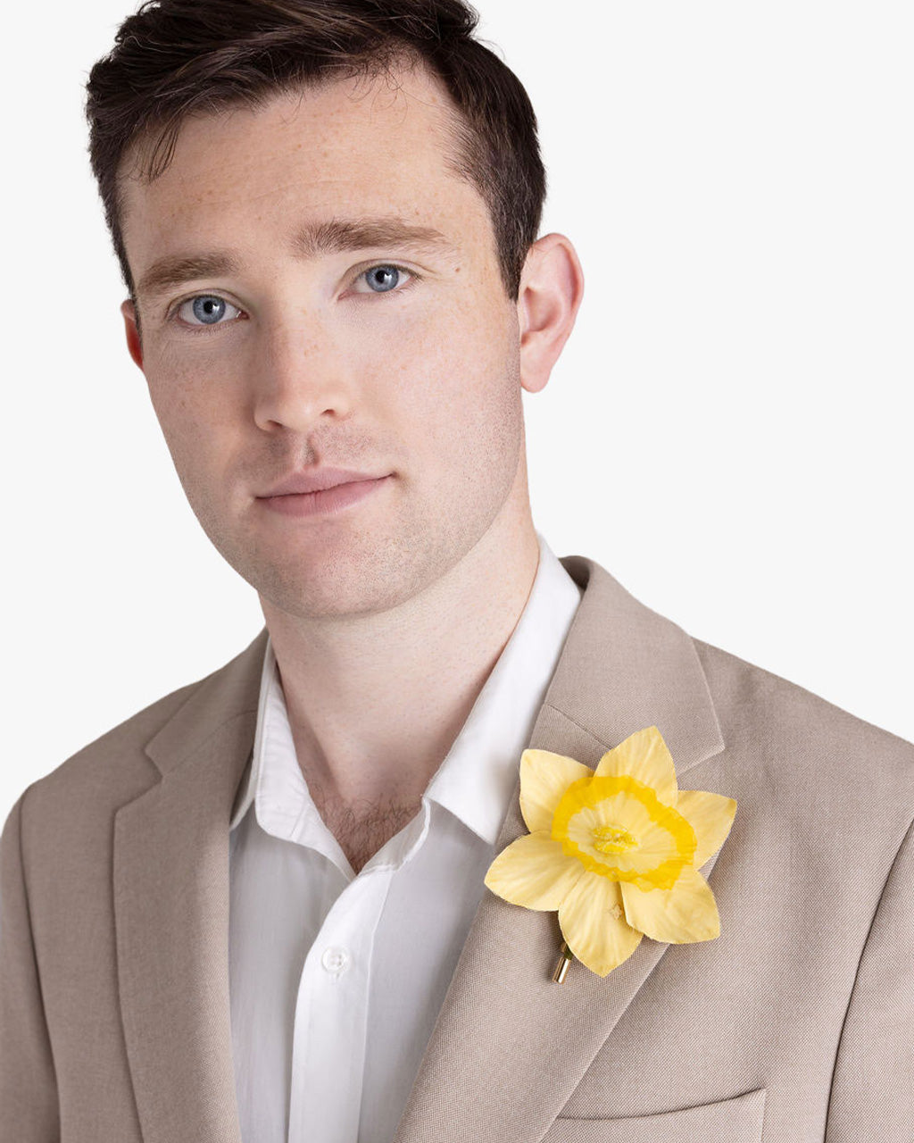 The Daffodil