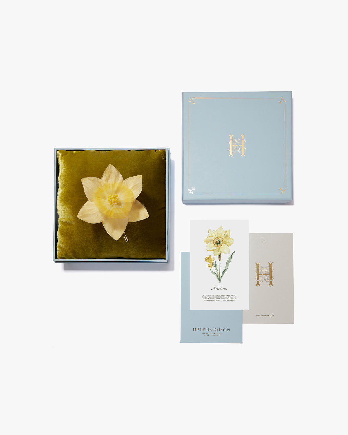 The Daffodil