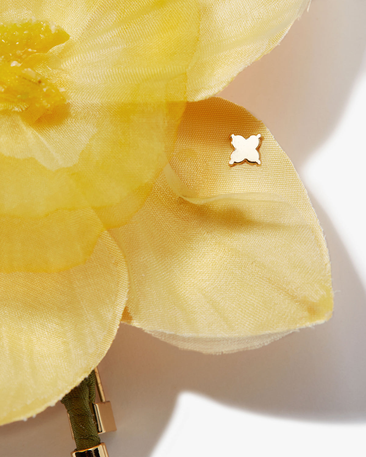 The Daffodil