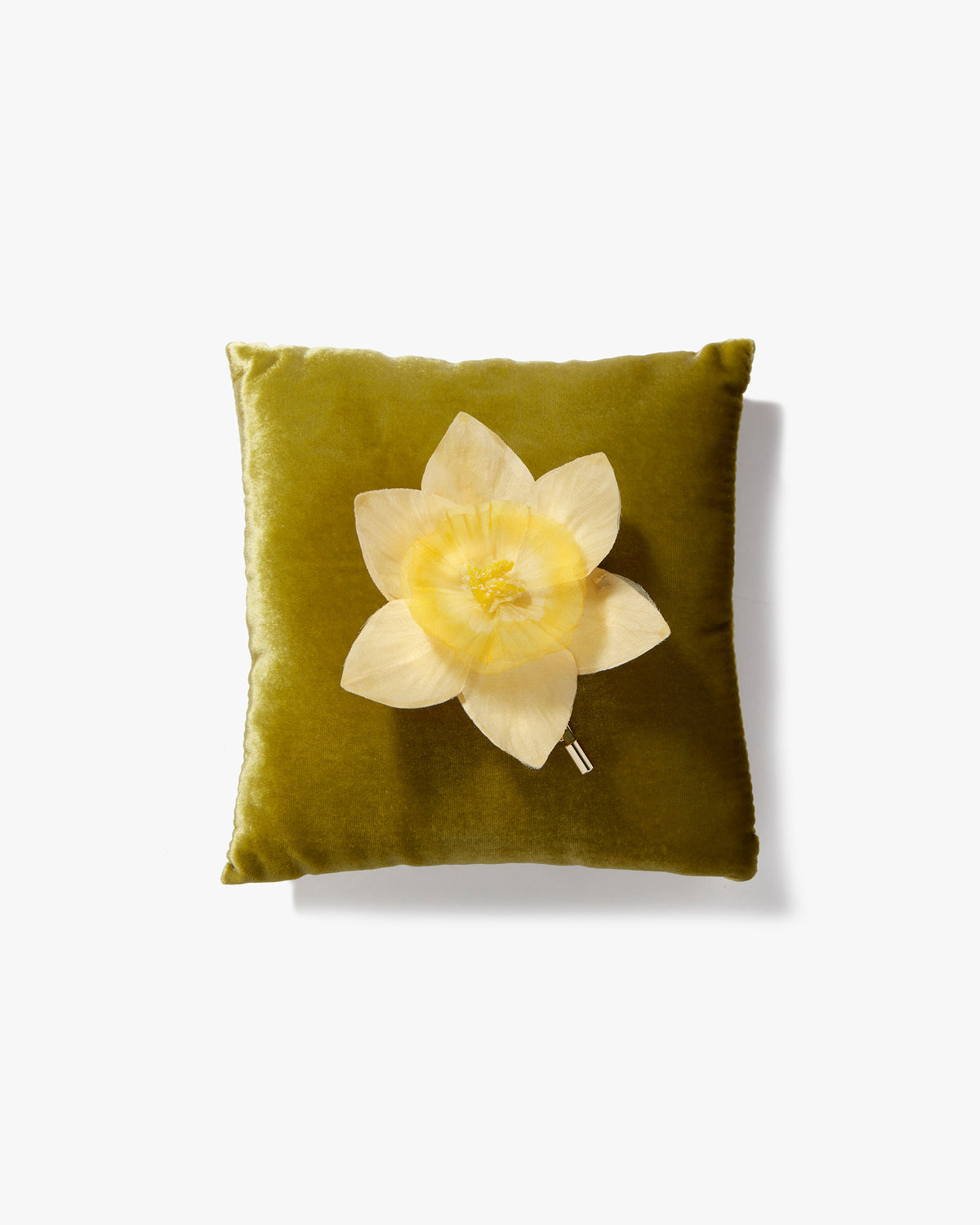 The Daffodil