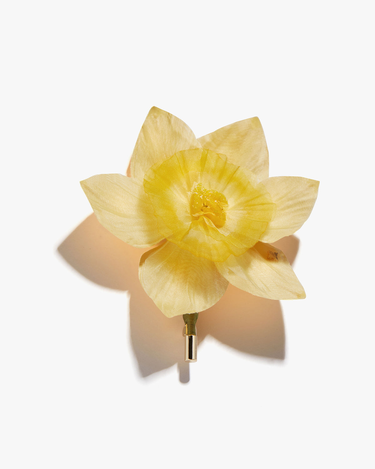The Daffodil