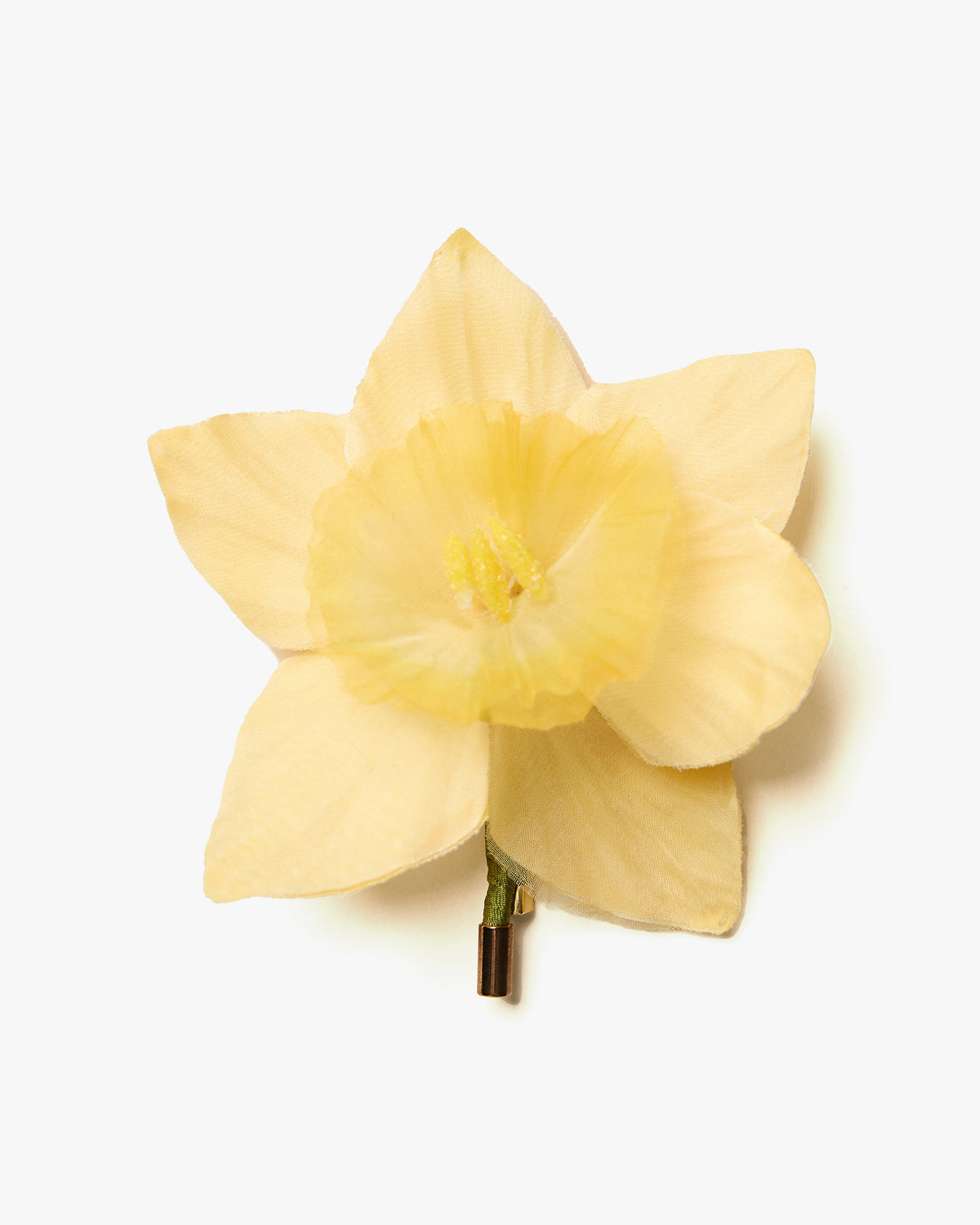 The Daffodil