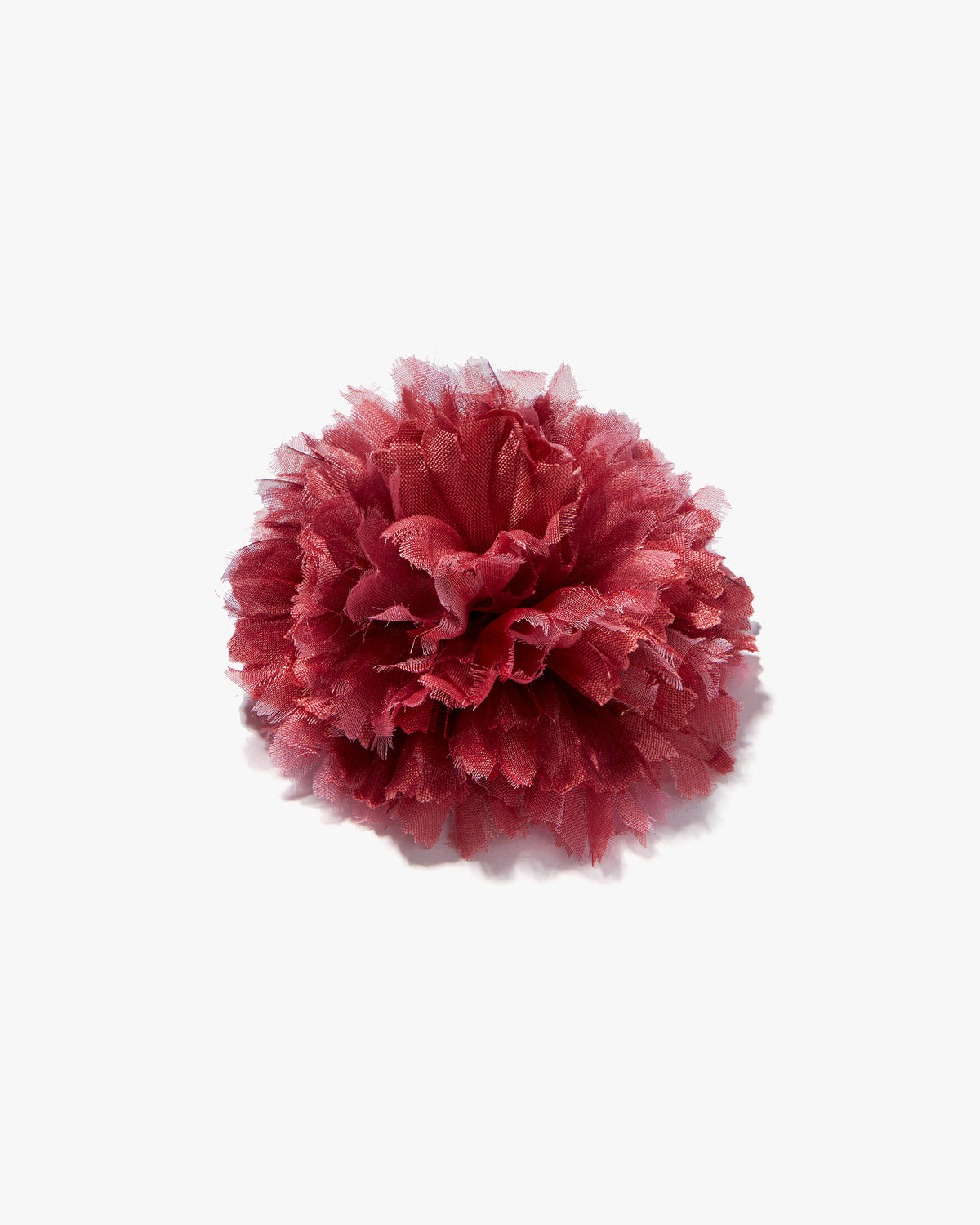 The Dark Pink Carnation