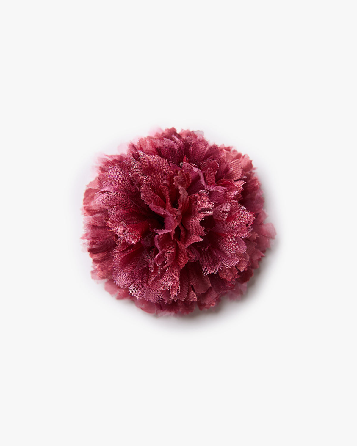 The Dark Pink Carnation