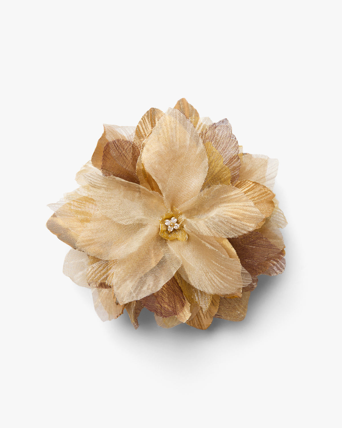 The Golden Poinsettia