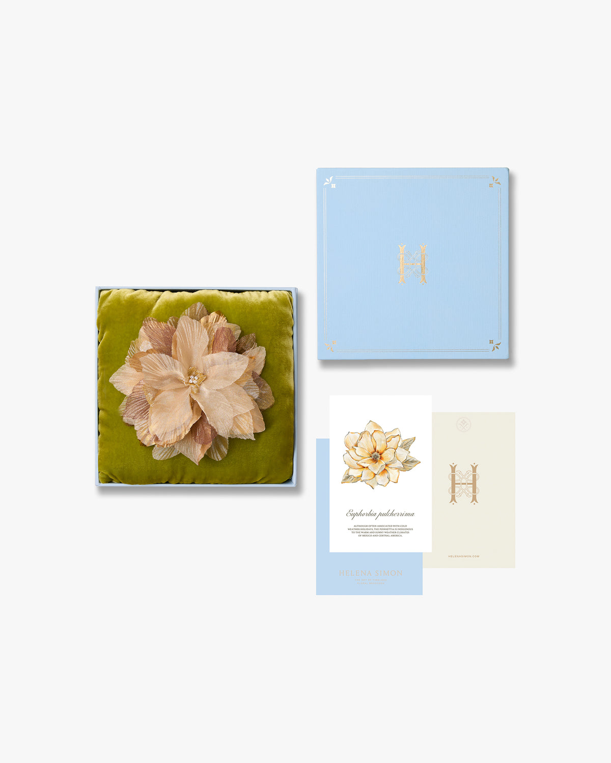 The Golden Poinsettia