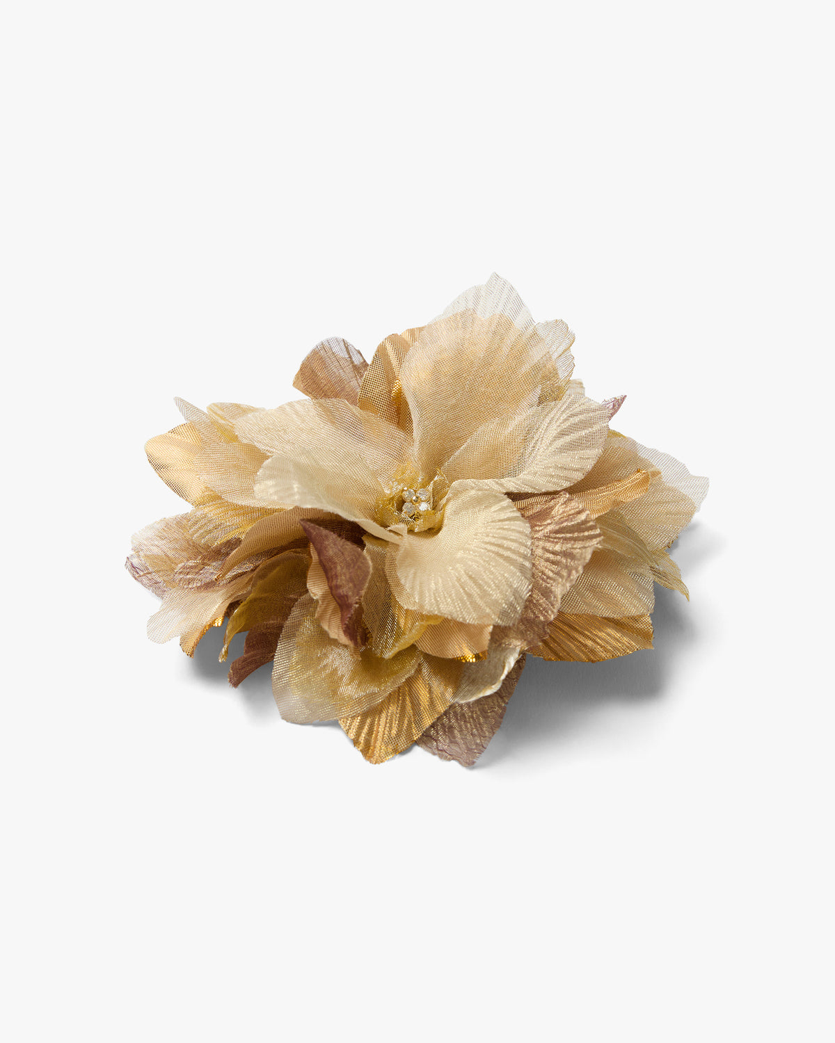 The Golden Poinsettia