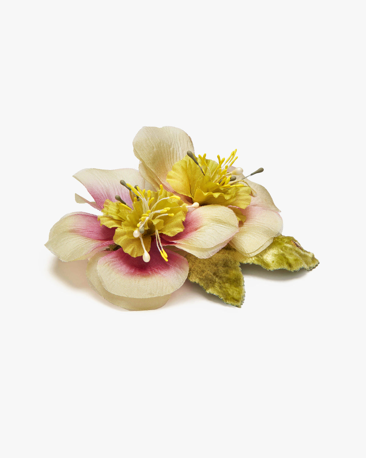 The Hellebore