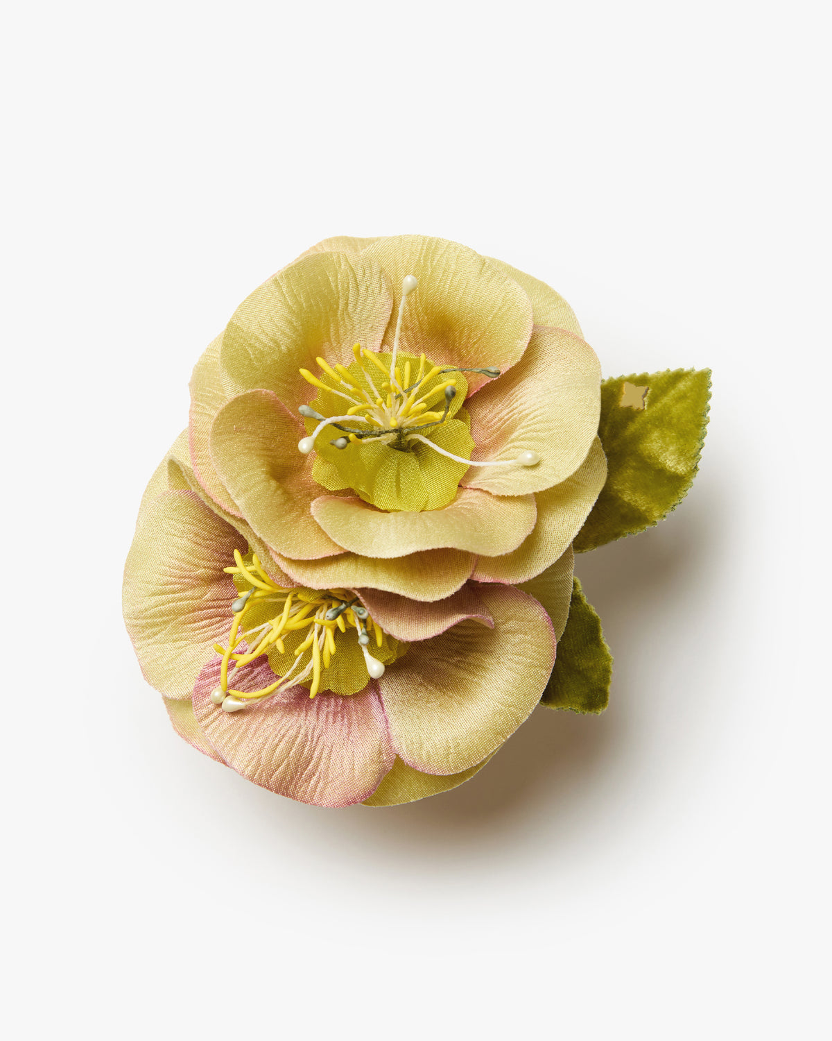 The Hellebore