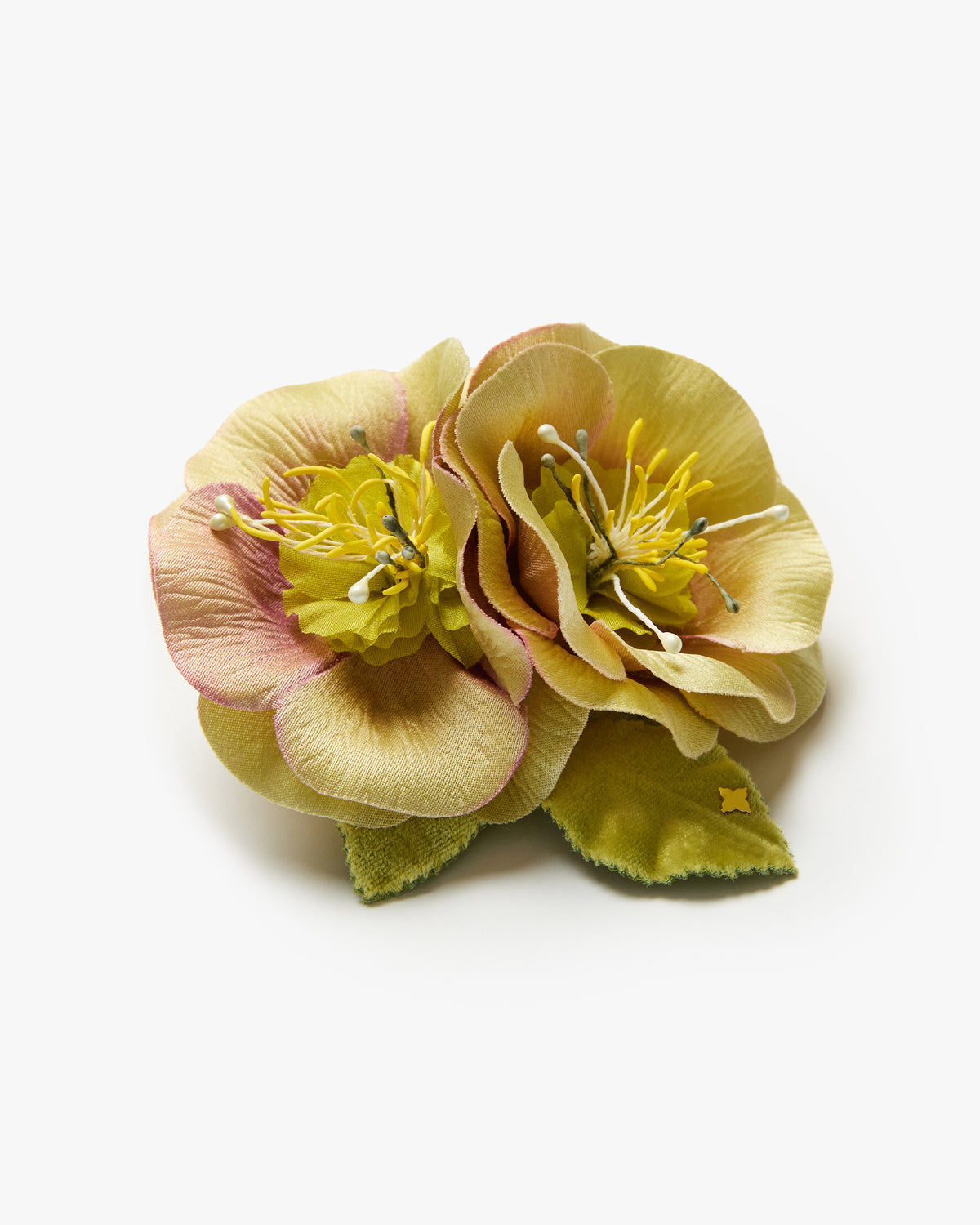The Hellebore