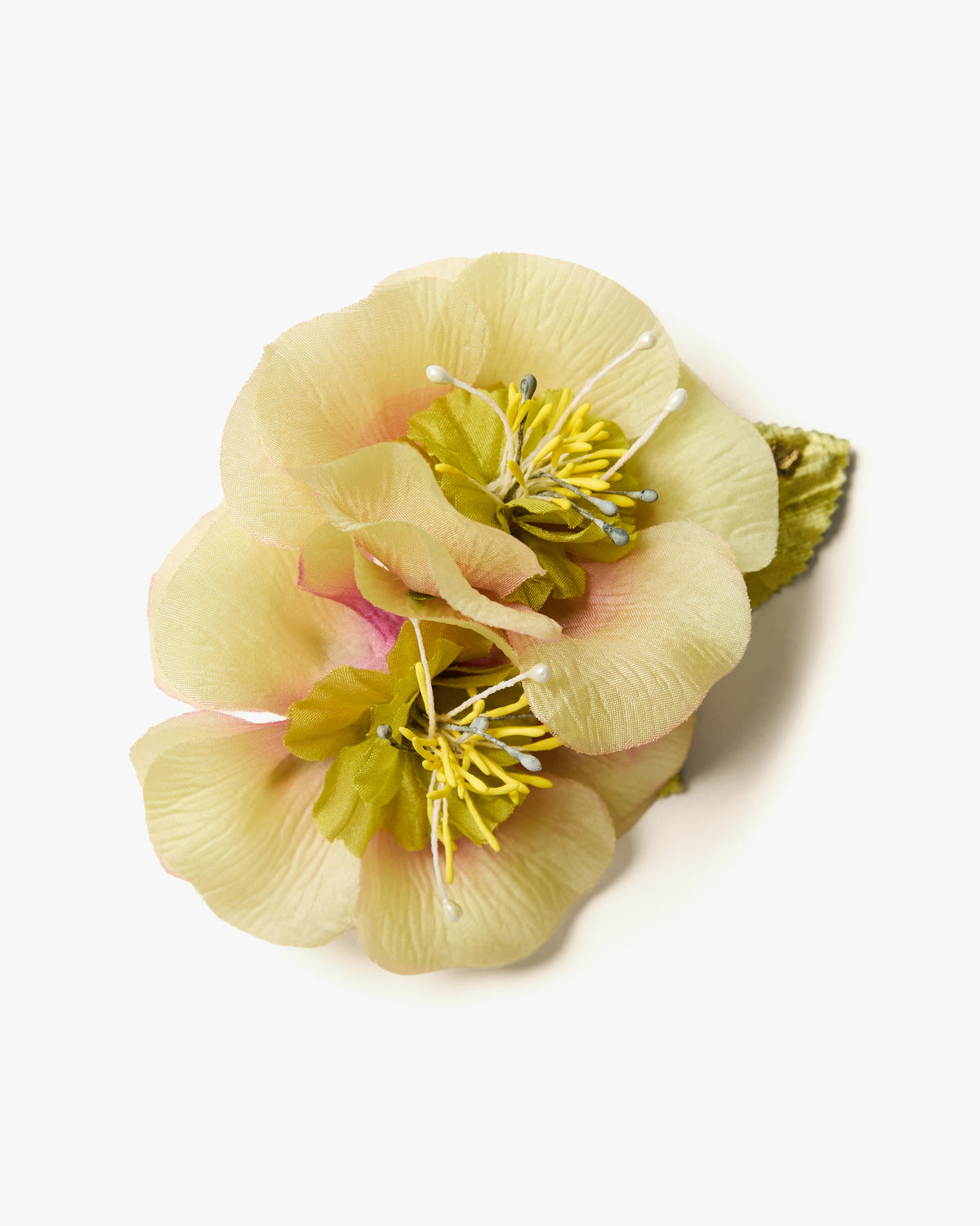 The Hellebore