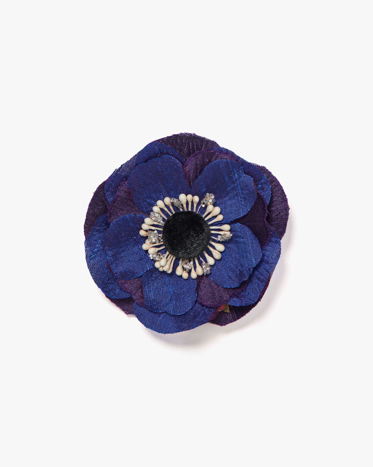 The Indigo Anemone