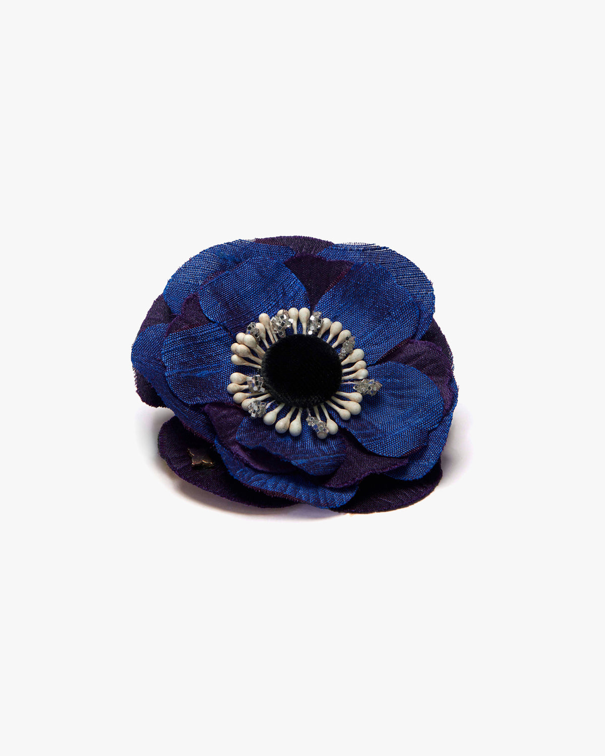 The Indigo Anemone