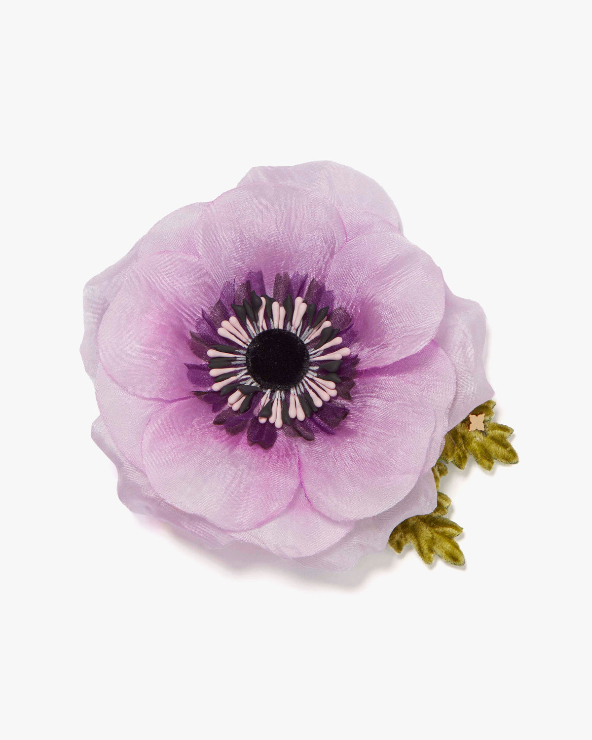 The Lavender Anemone