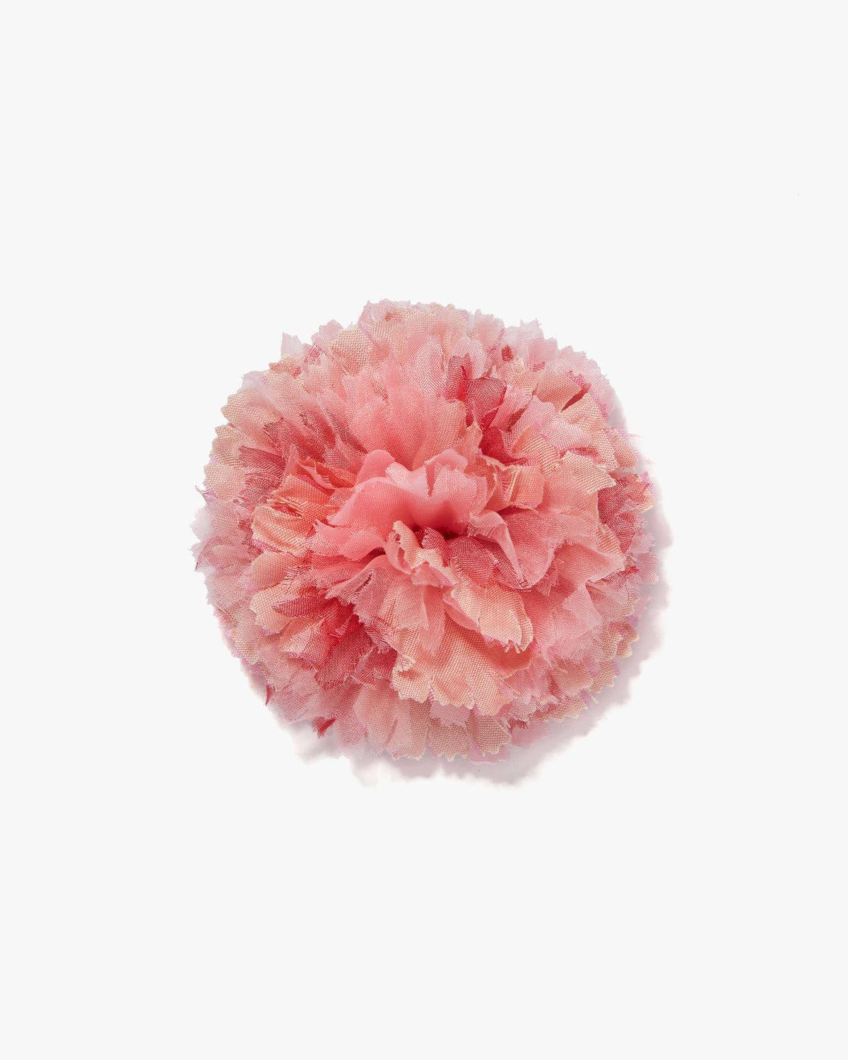 The Light Pink Carnation
