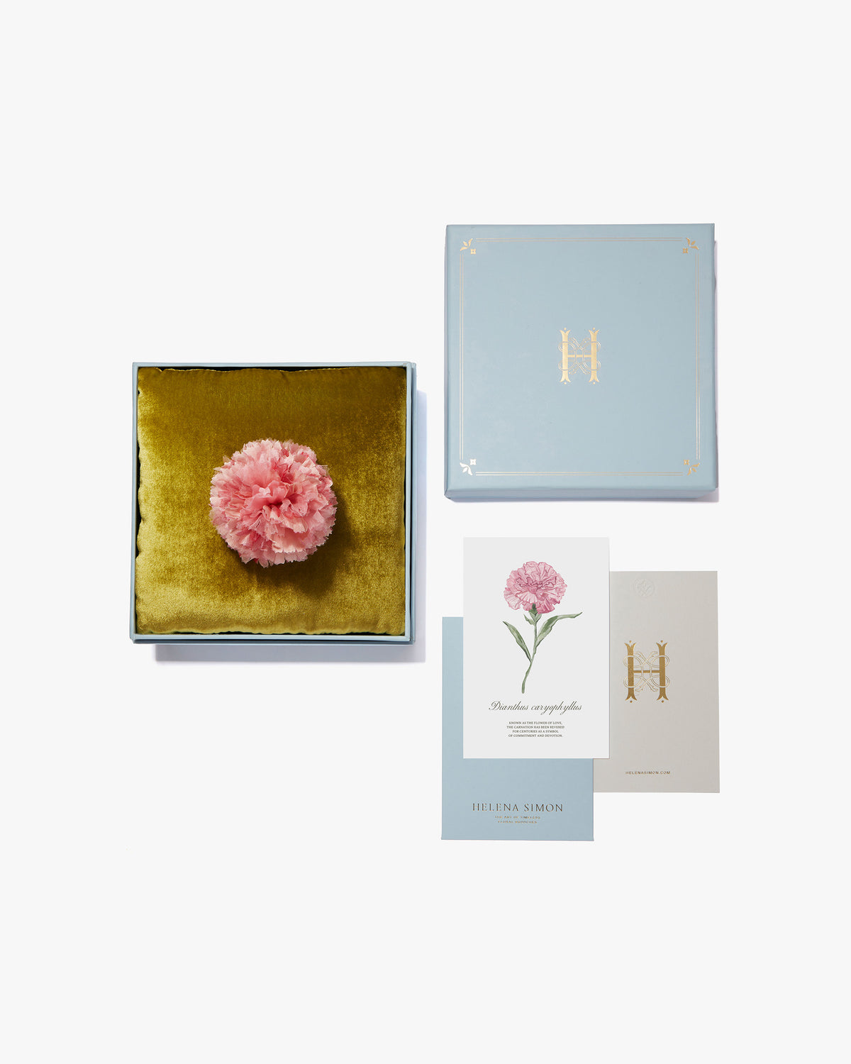 The Light Pink Carnation