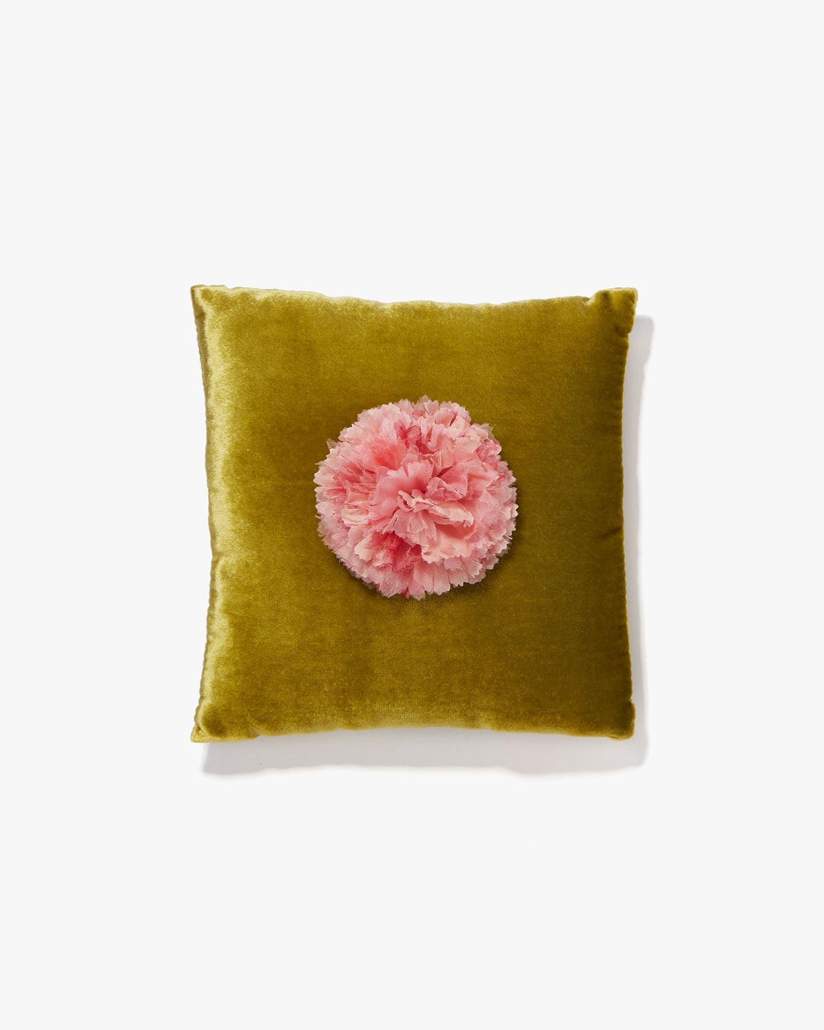 The Light Pink Carnation
