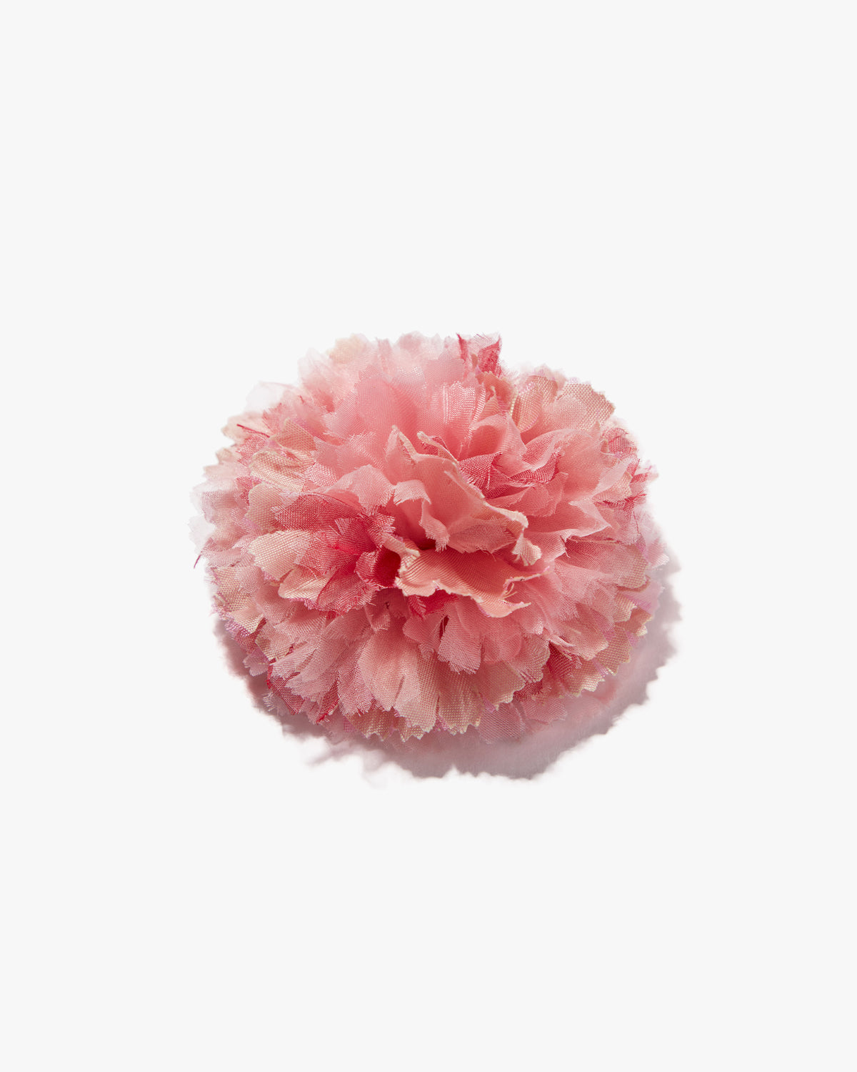 The Light Pink Carnation