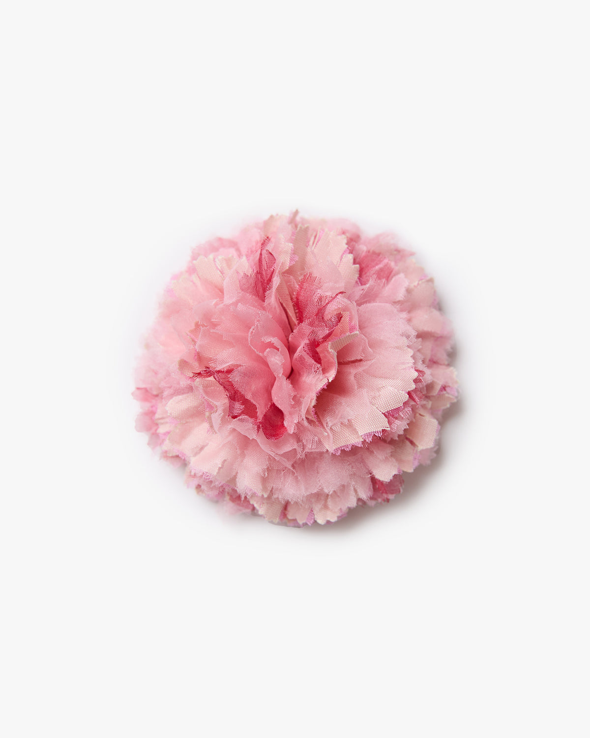 The Light Pink Carnation