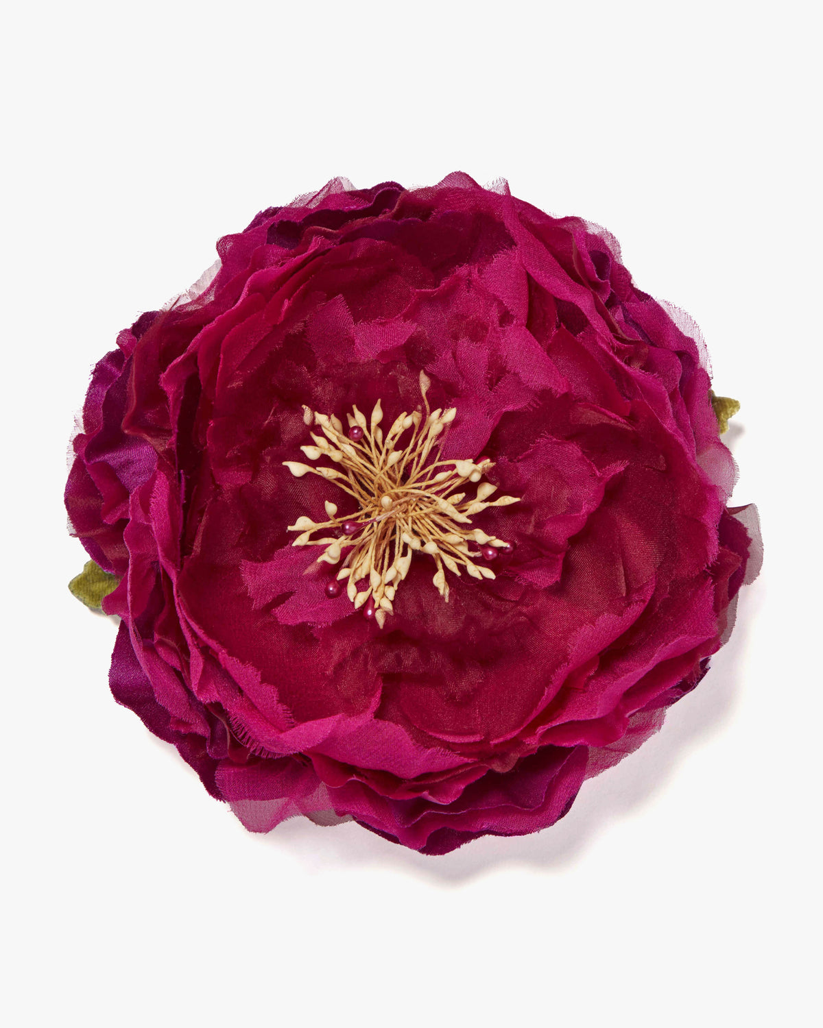 The Magenta Peony