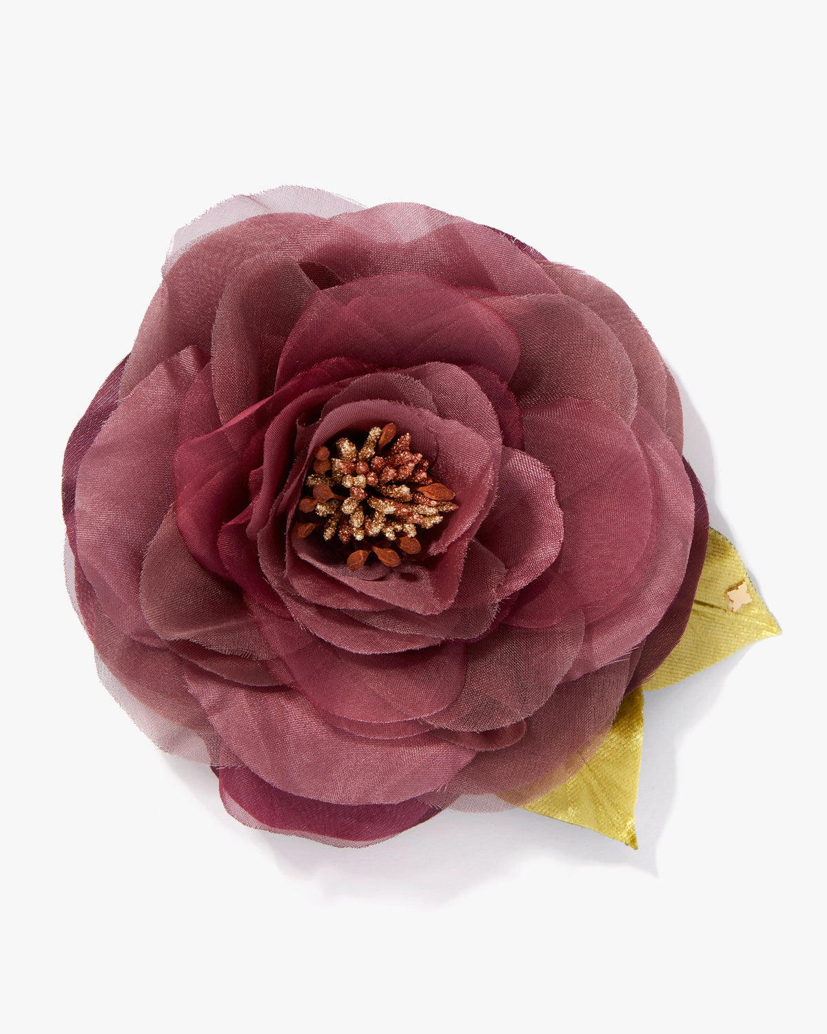 The Mauve Open Rose