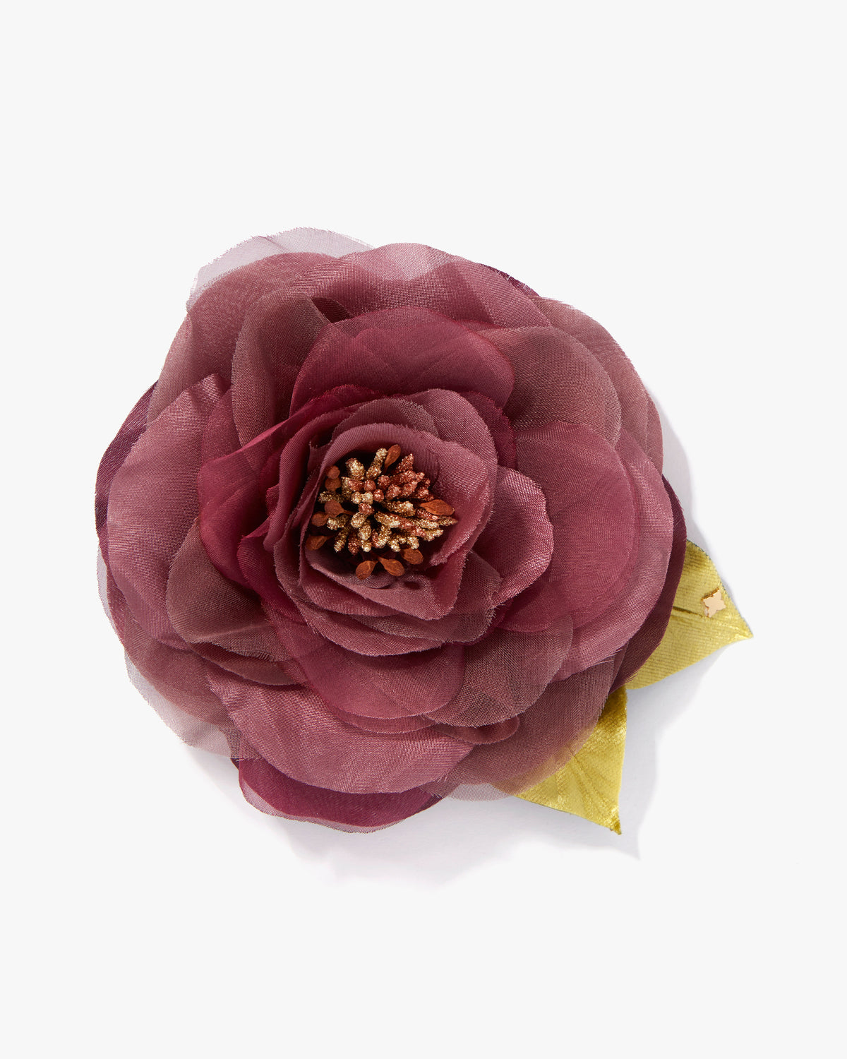 The Mauve Open Rose