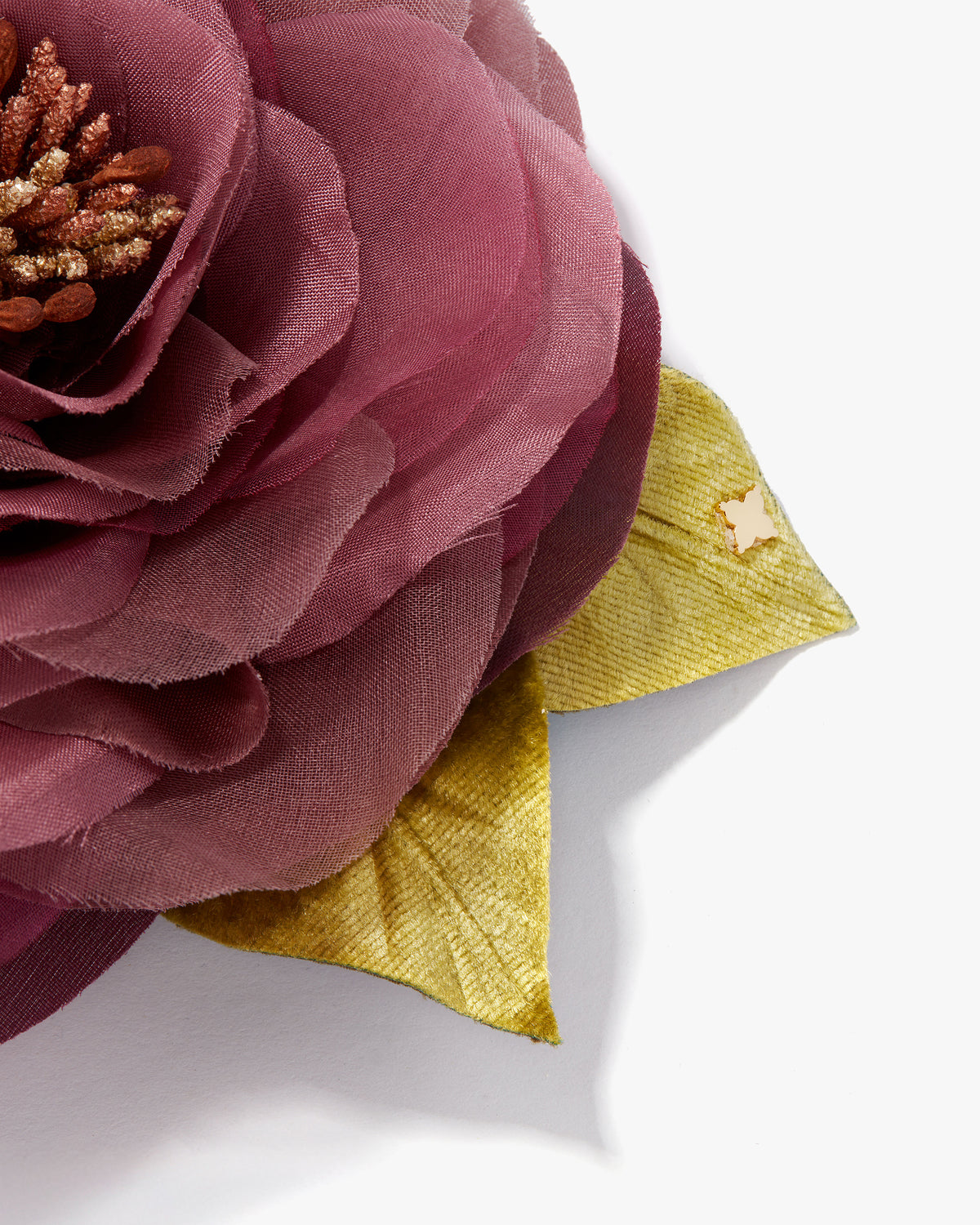 The Mauve Open Rose