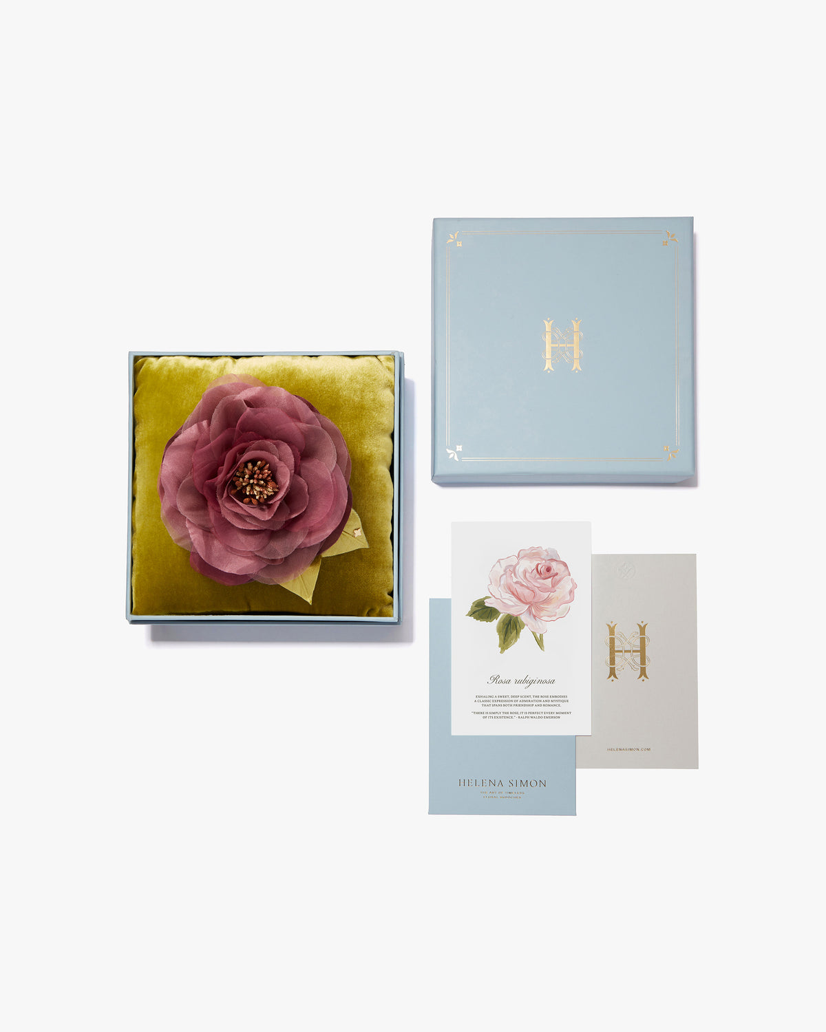 The Mauve Open Rose