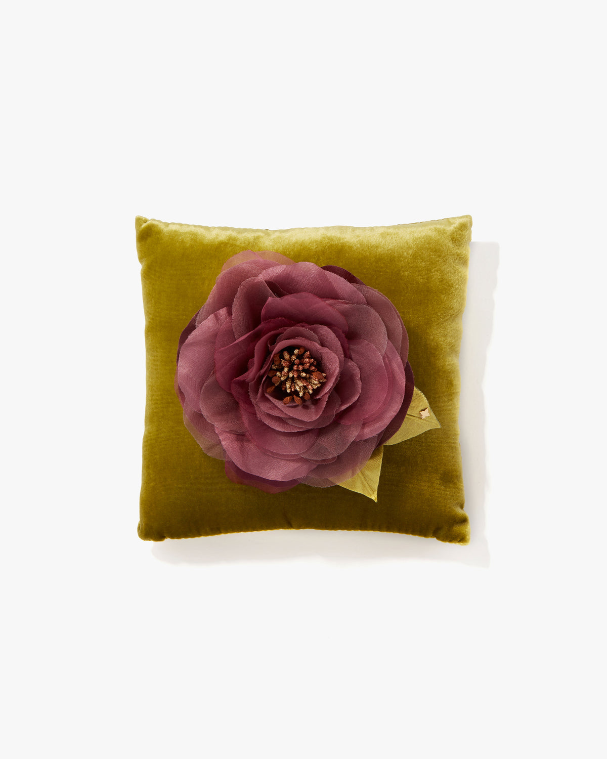 The Mauve Open Rose
