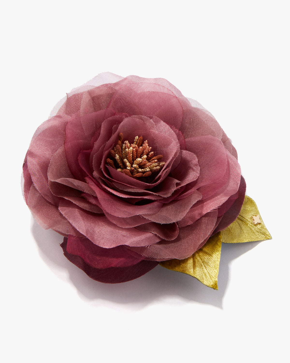 The Mauve Open Rose