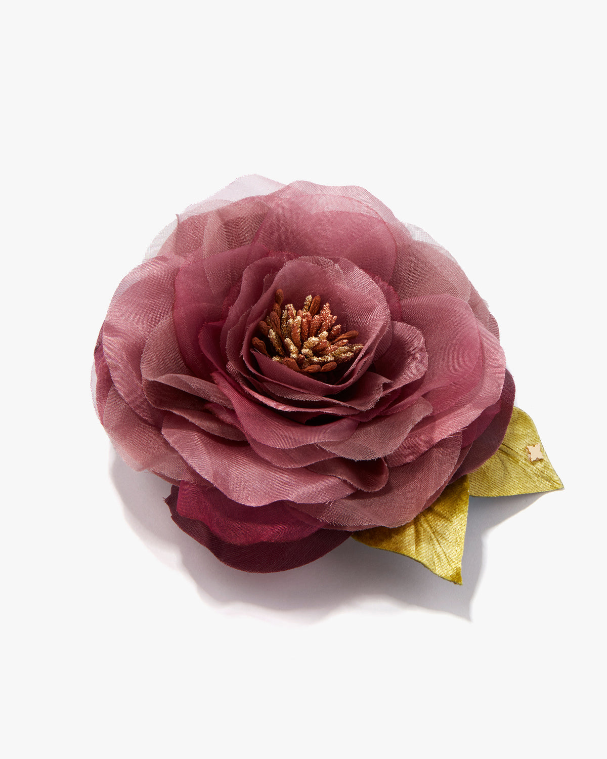 The Mauve Open Rose
