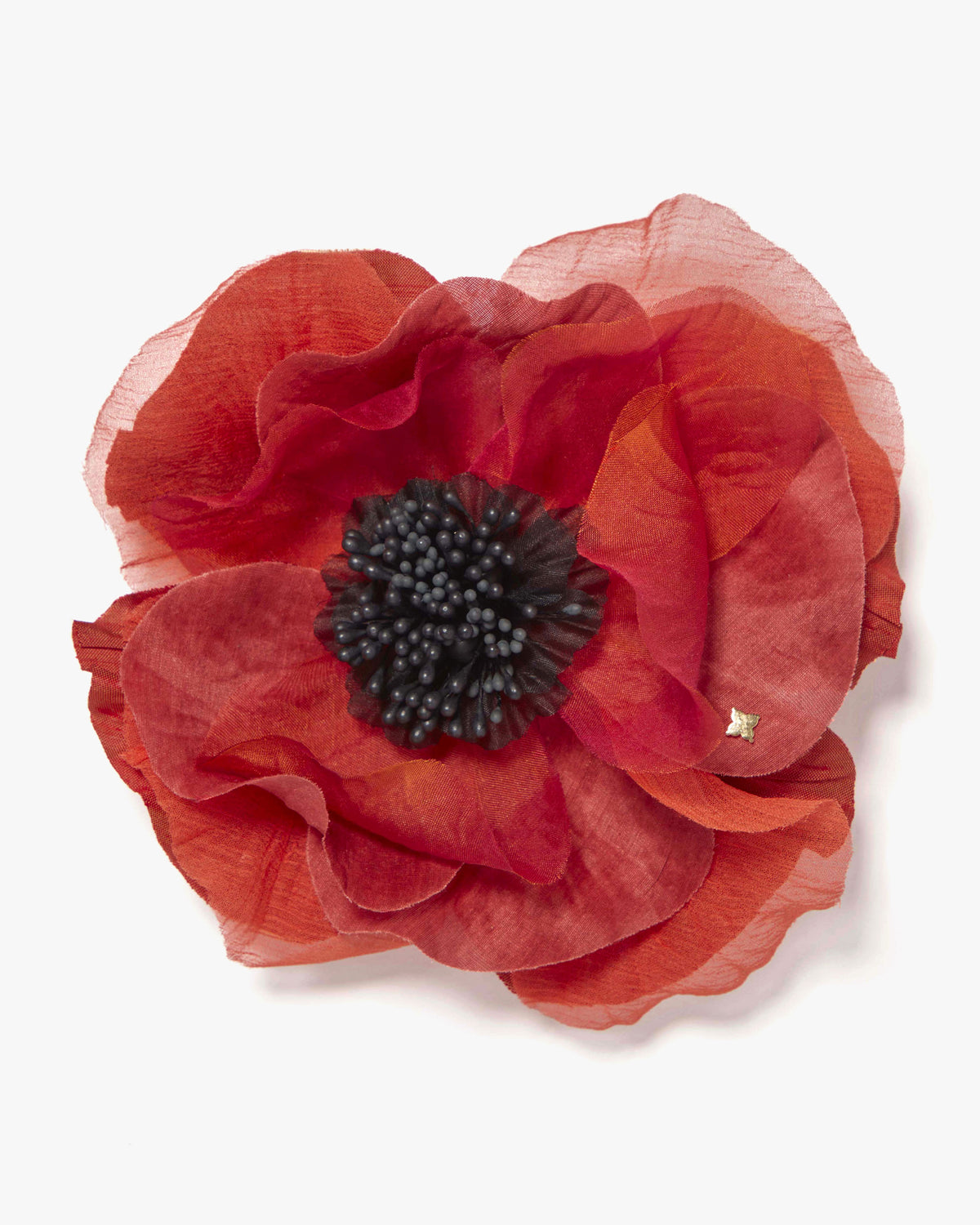 The Orange Poppy
