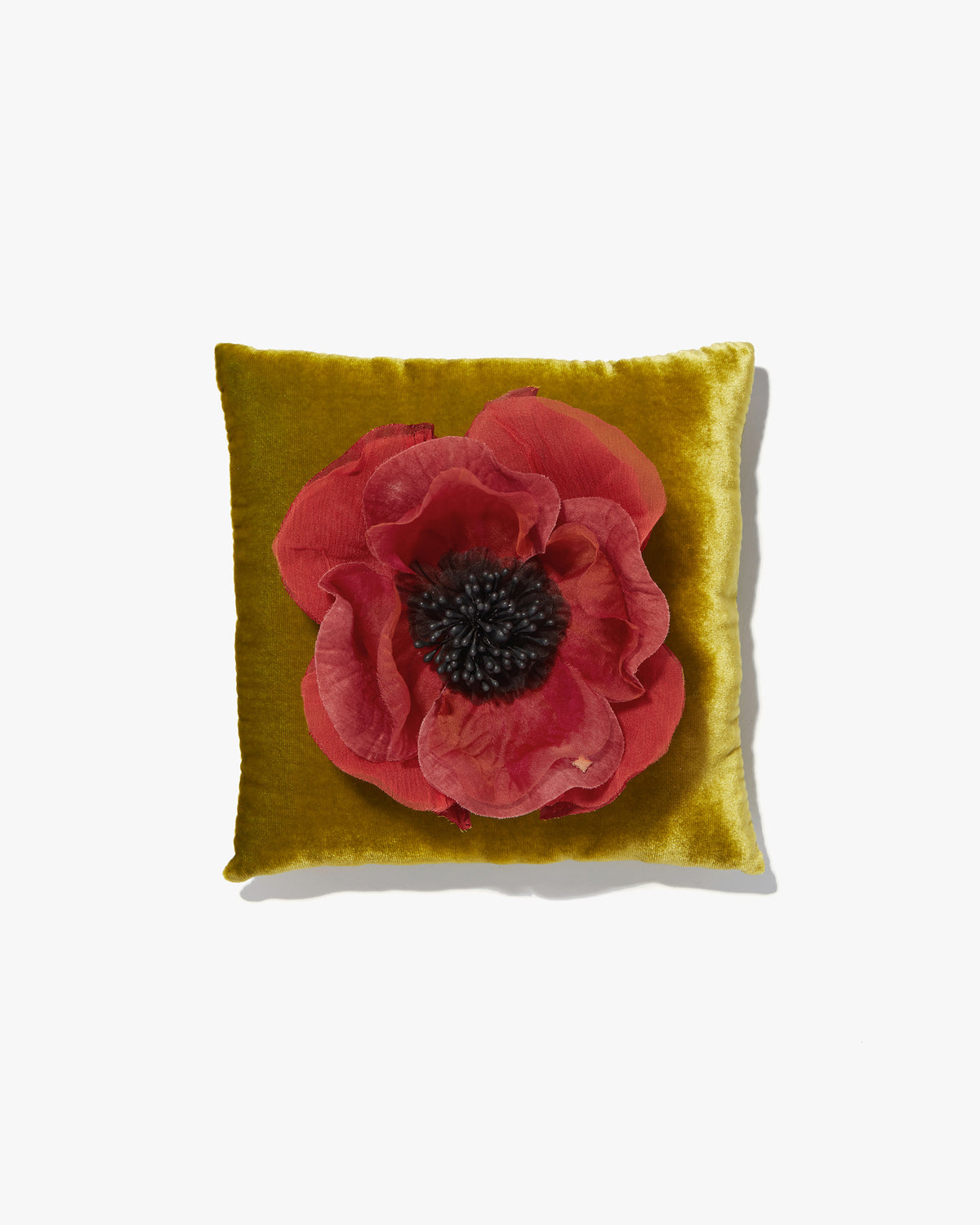 The Orange Poppy